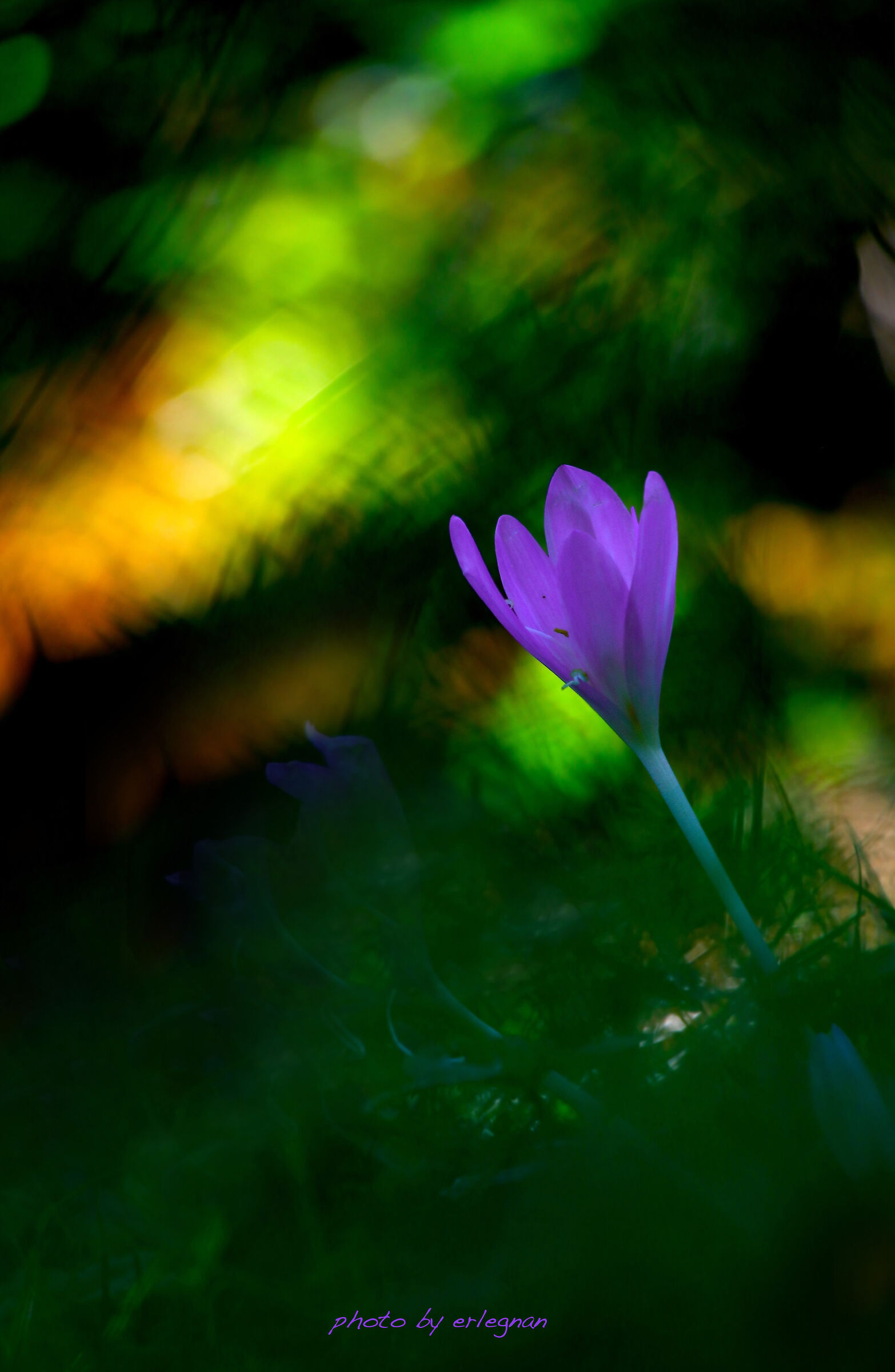 Giocando con le luci