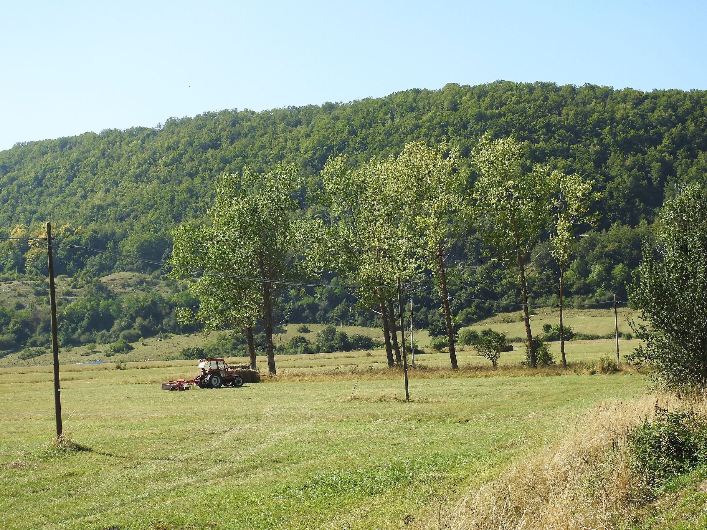 In the countryside