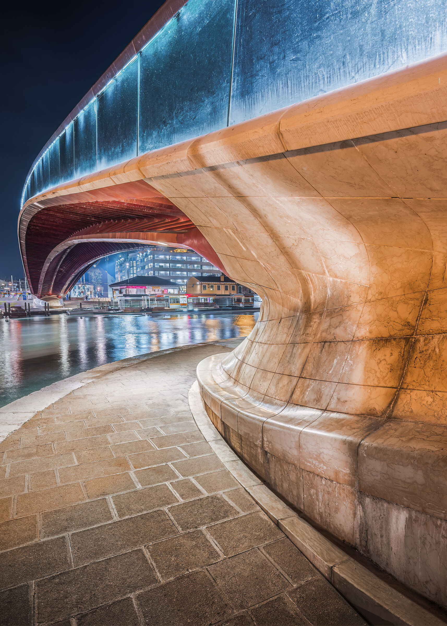 Ponte Calatrava-Venezia