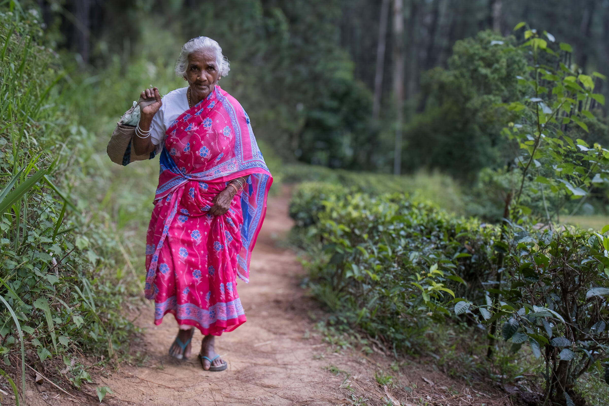 Towards the bridge of the nine arches