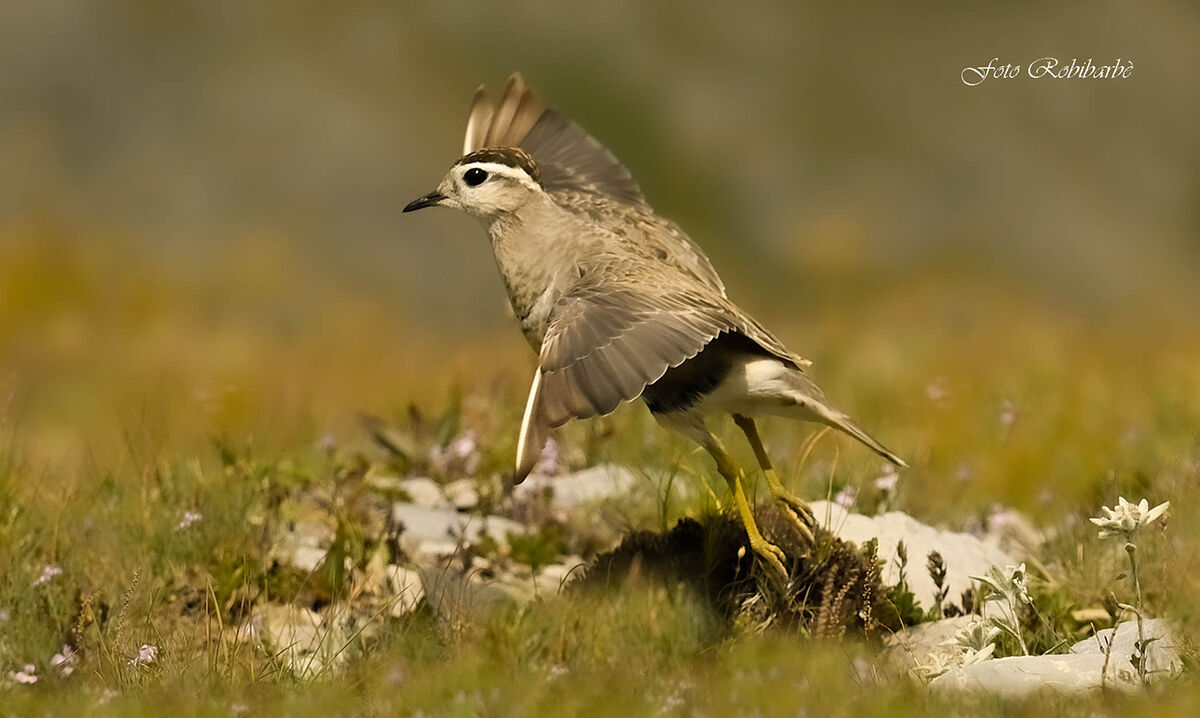 Partenza tra le stelle...