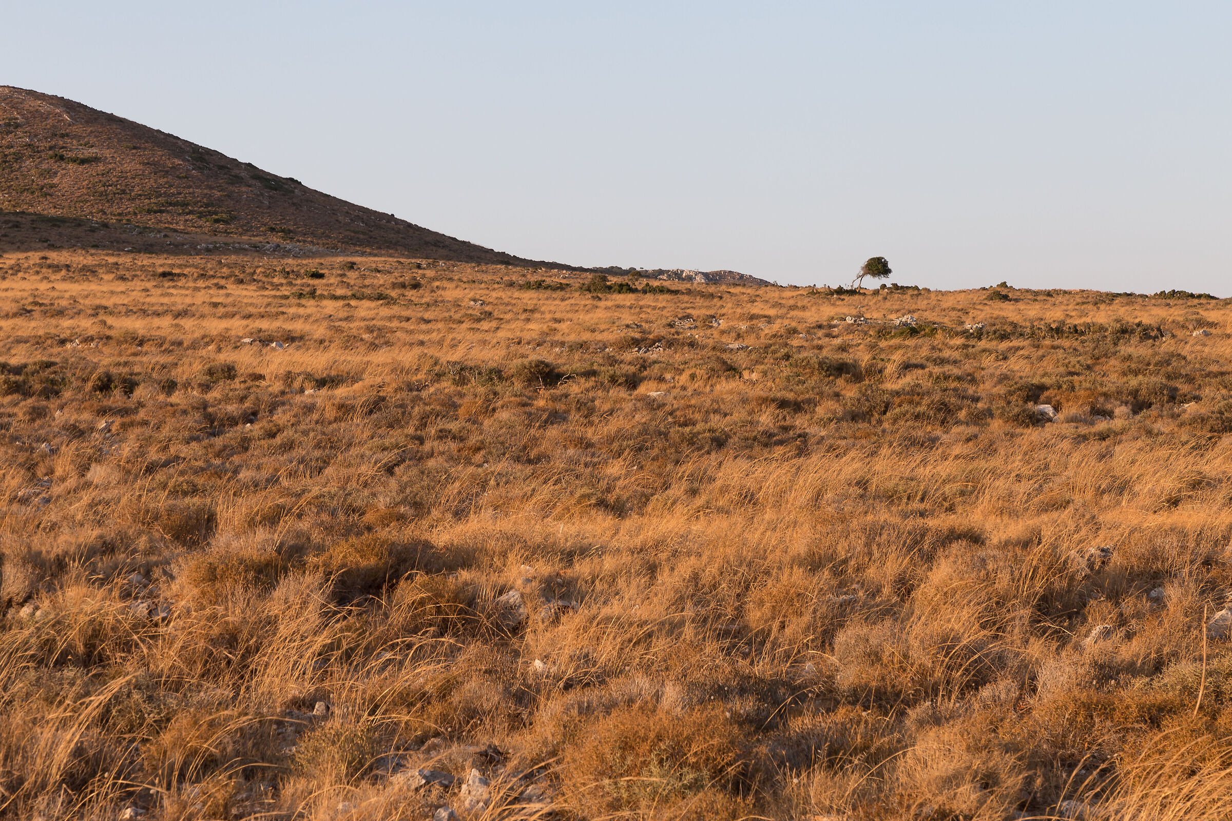 cefalonia strada per monastero kipureon