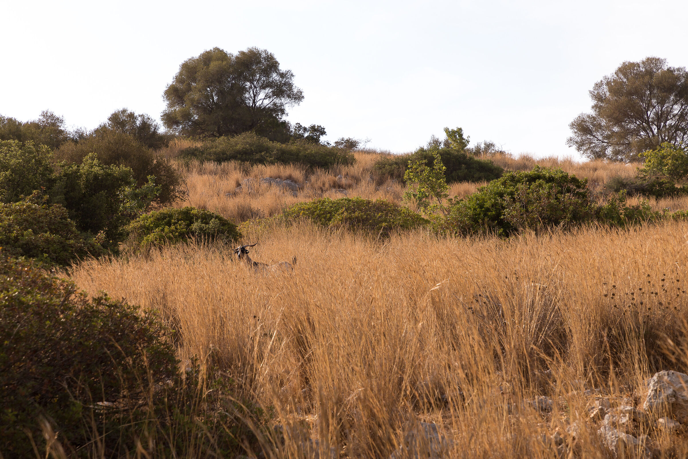 lefkada penisola palinki