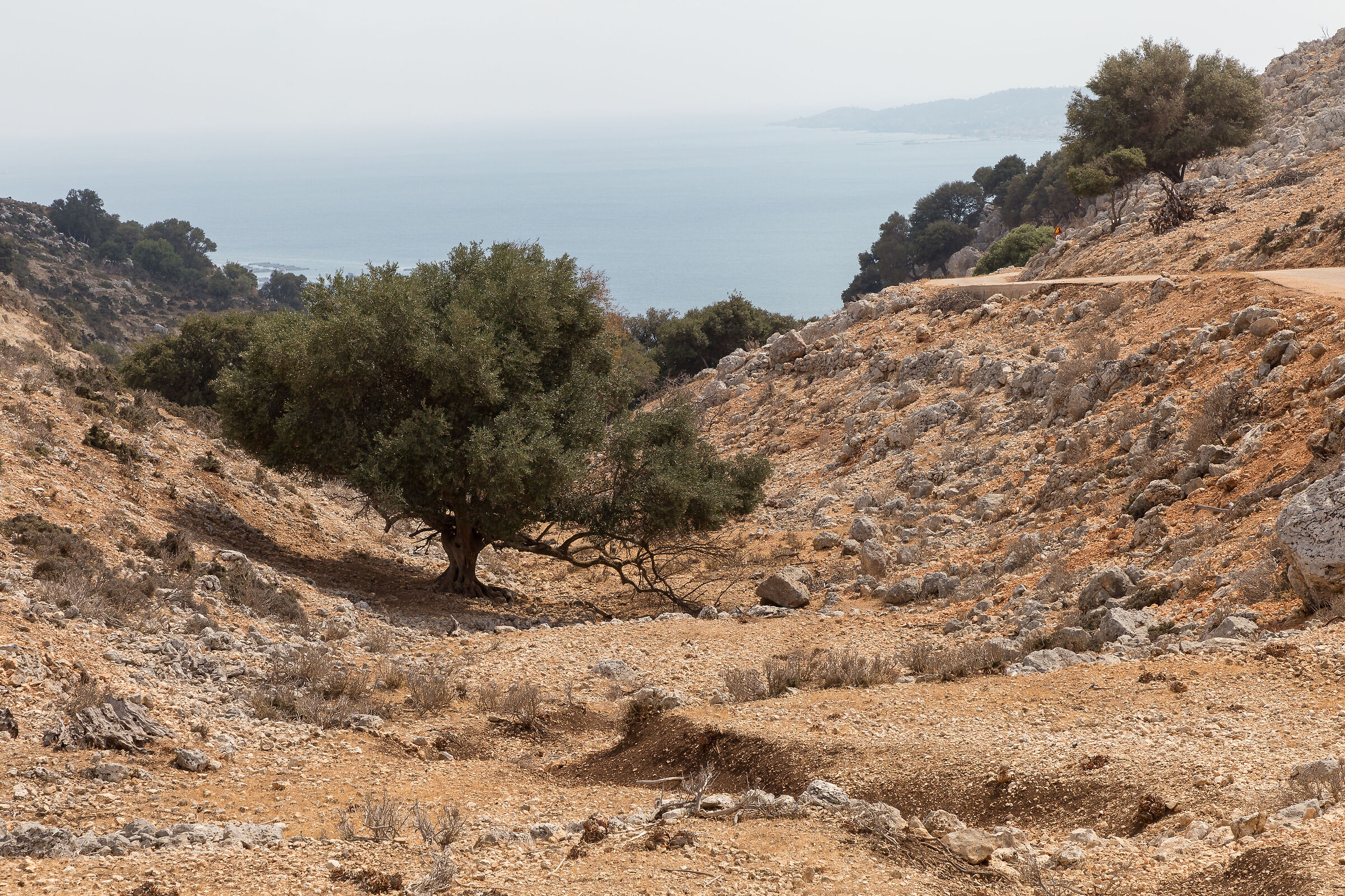 strada per anemomulos tenias