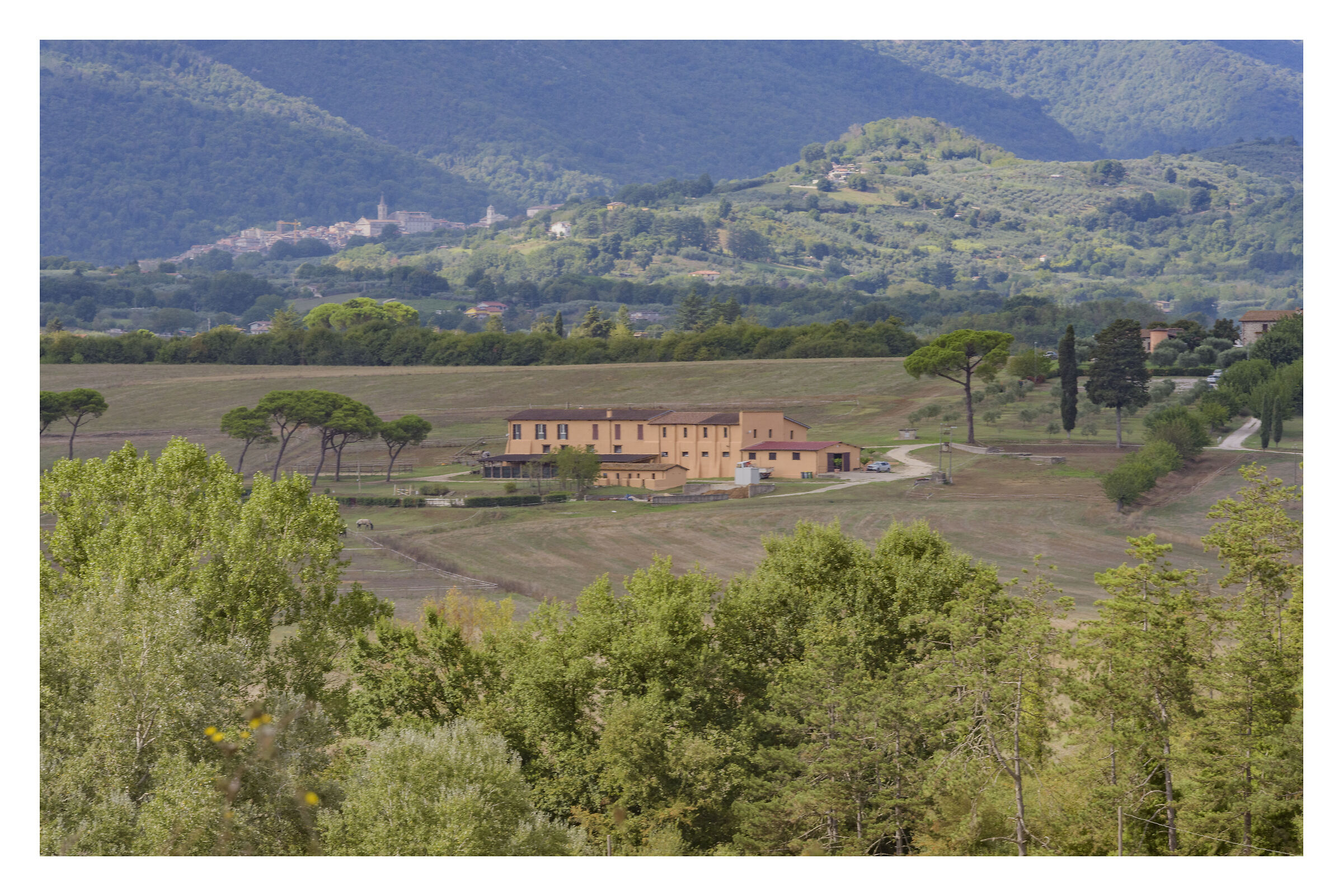 Tenuta Principi Colonna