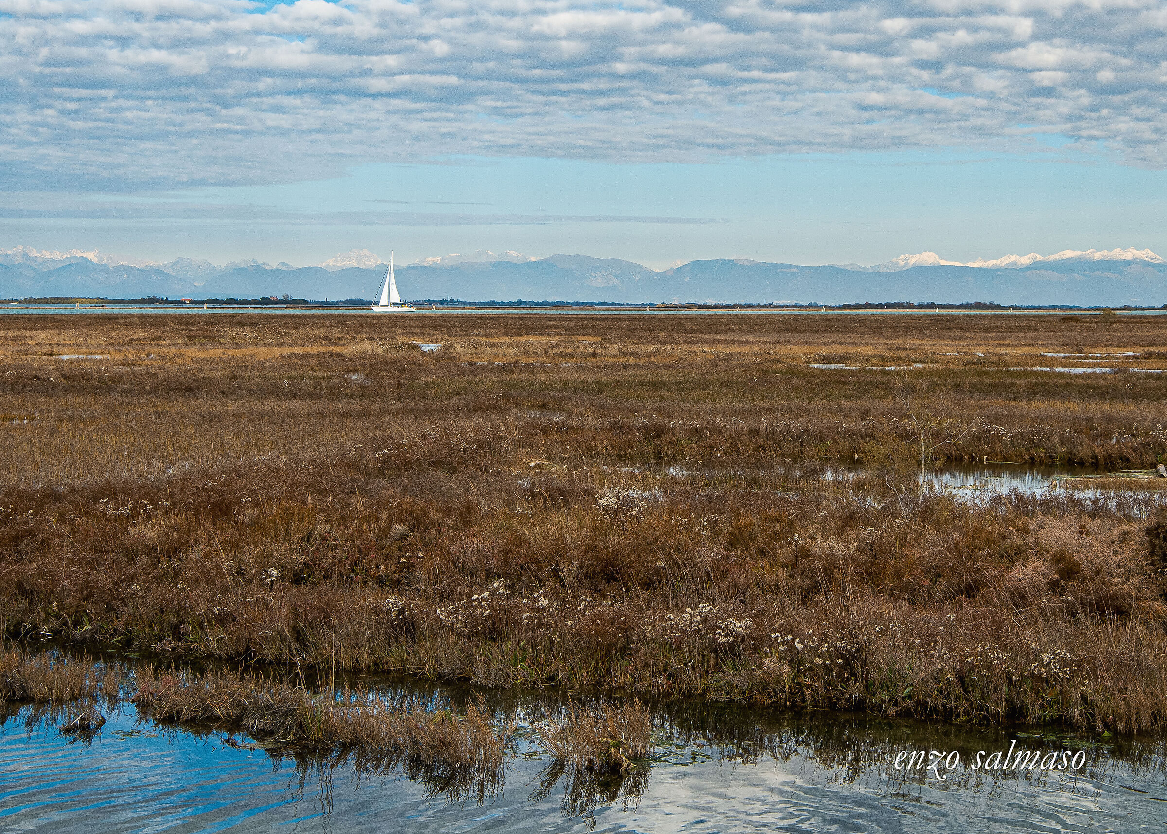 vela nella palude