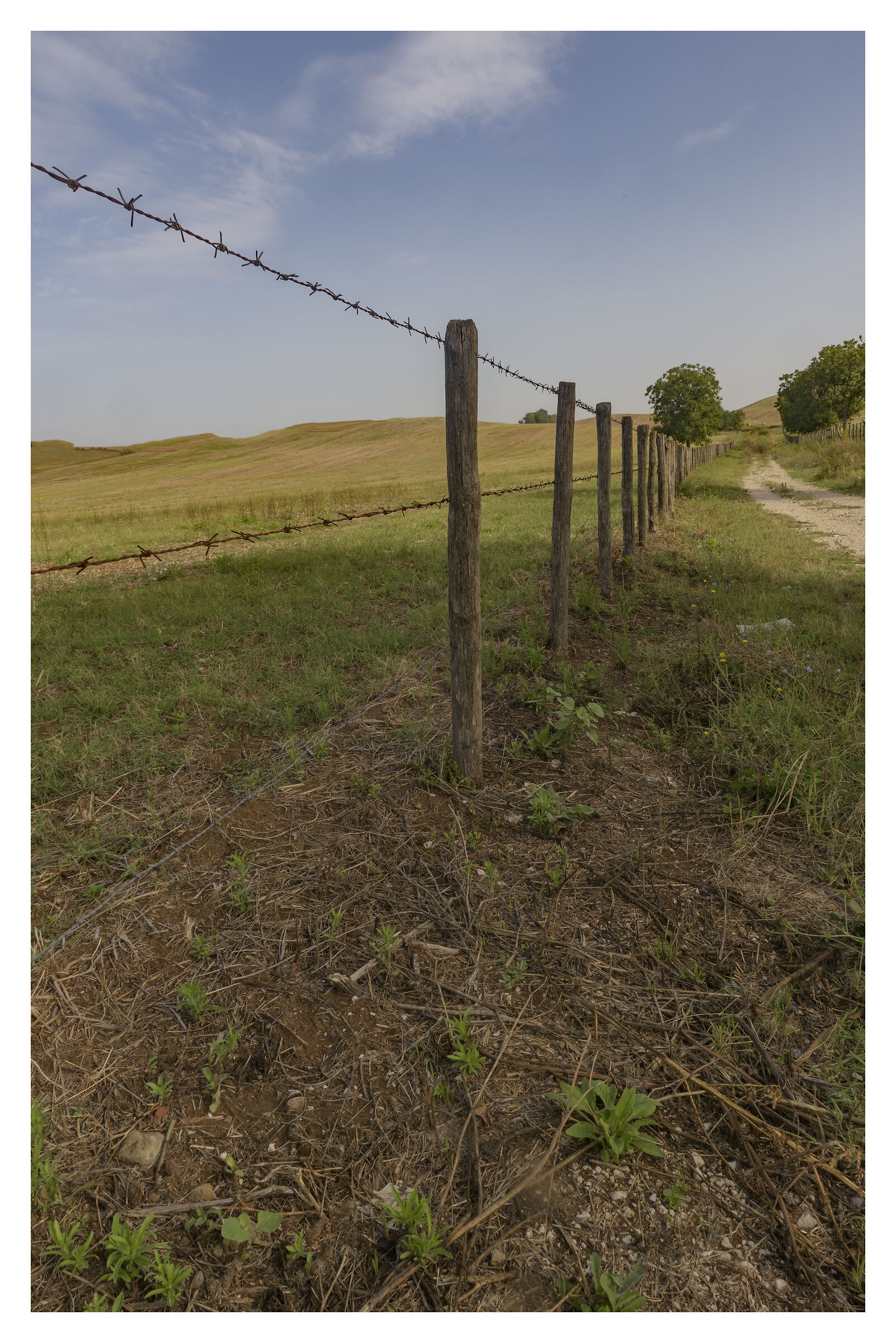 Bucolic delimitation