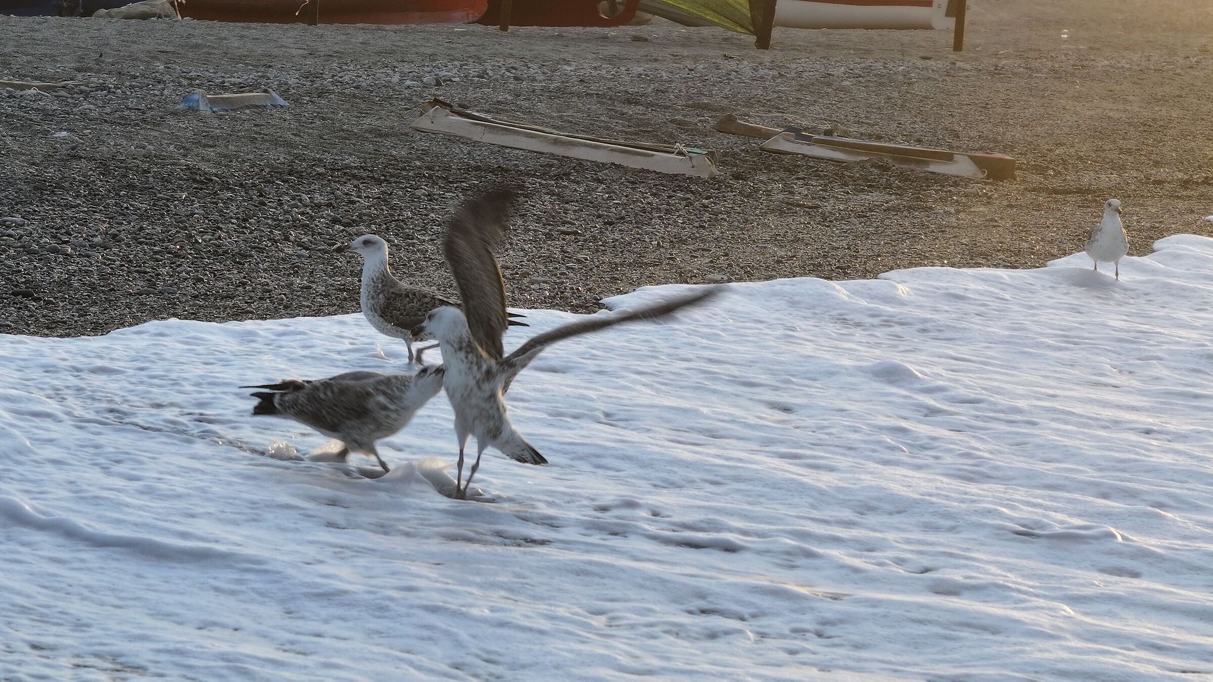 Conflicts in the family...