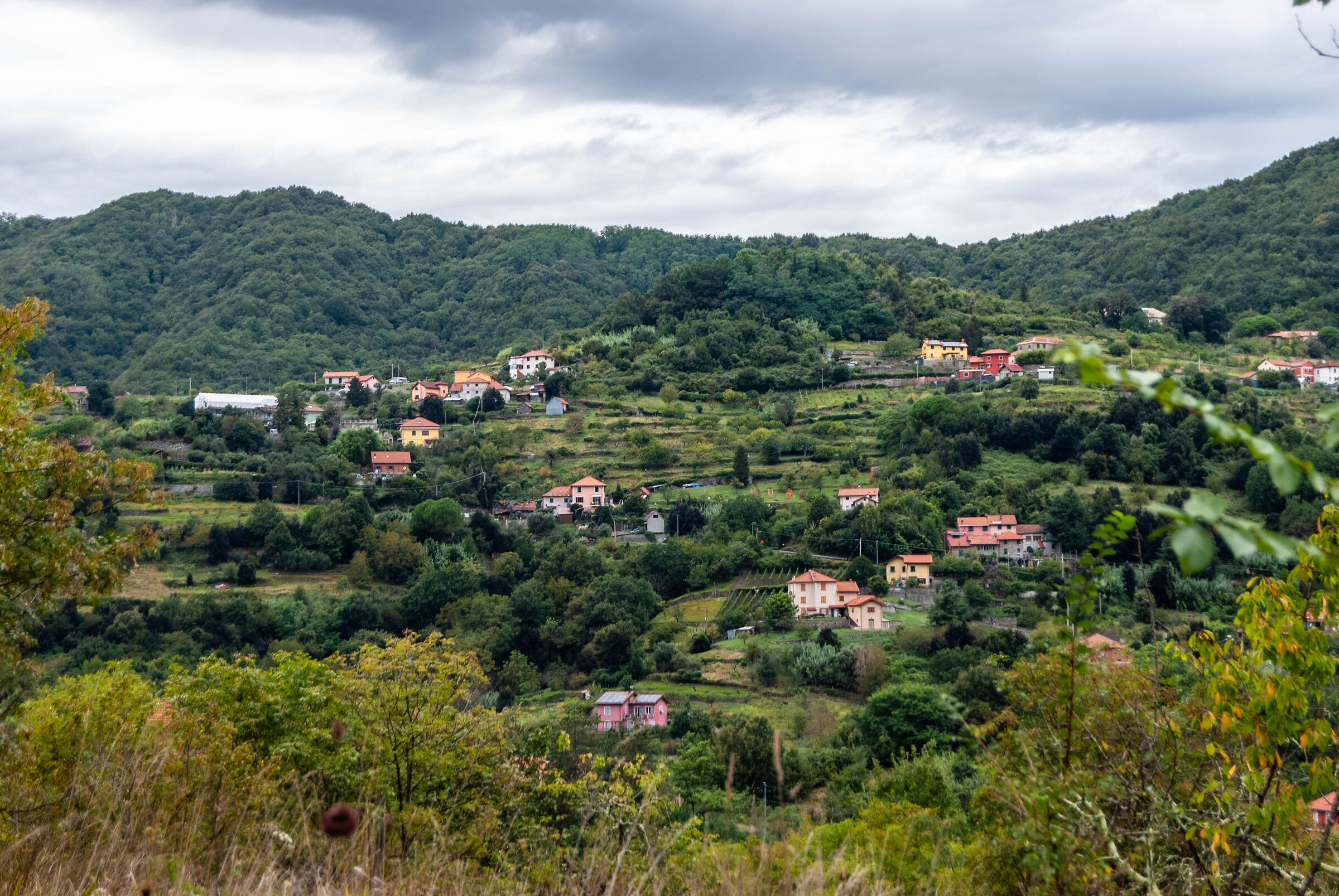 Pinasco