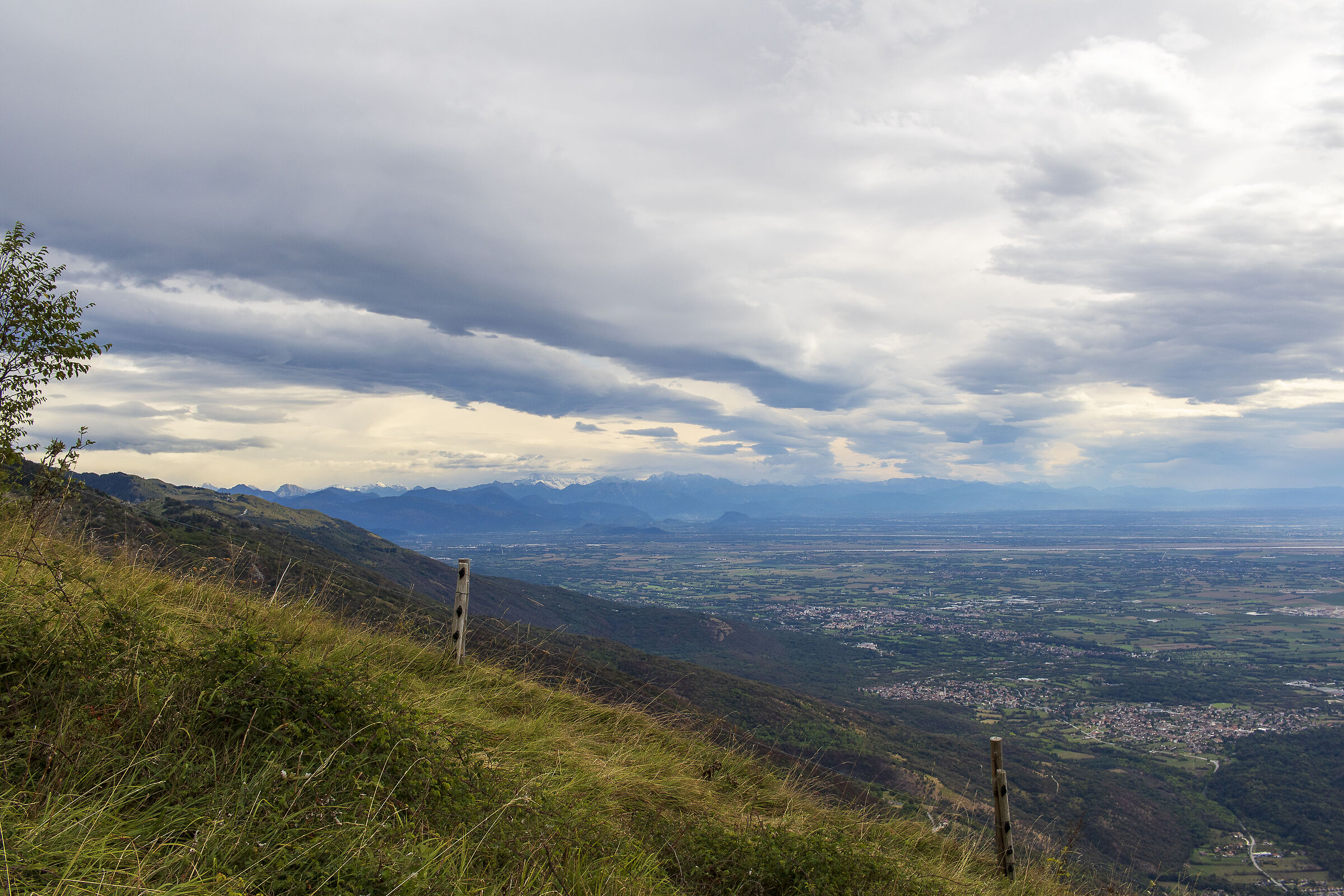 View from Malga Costa Cervera