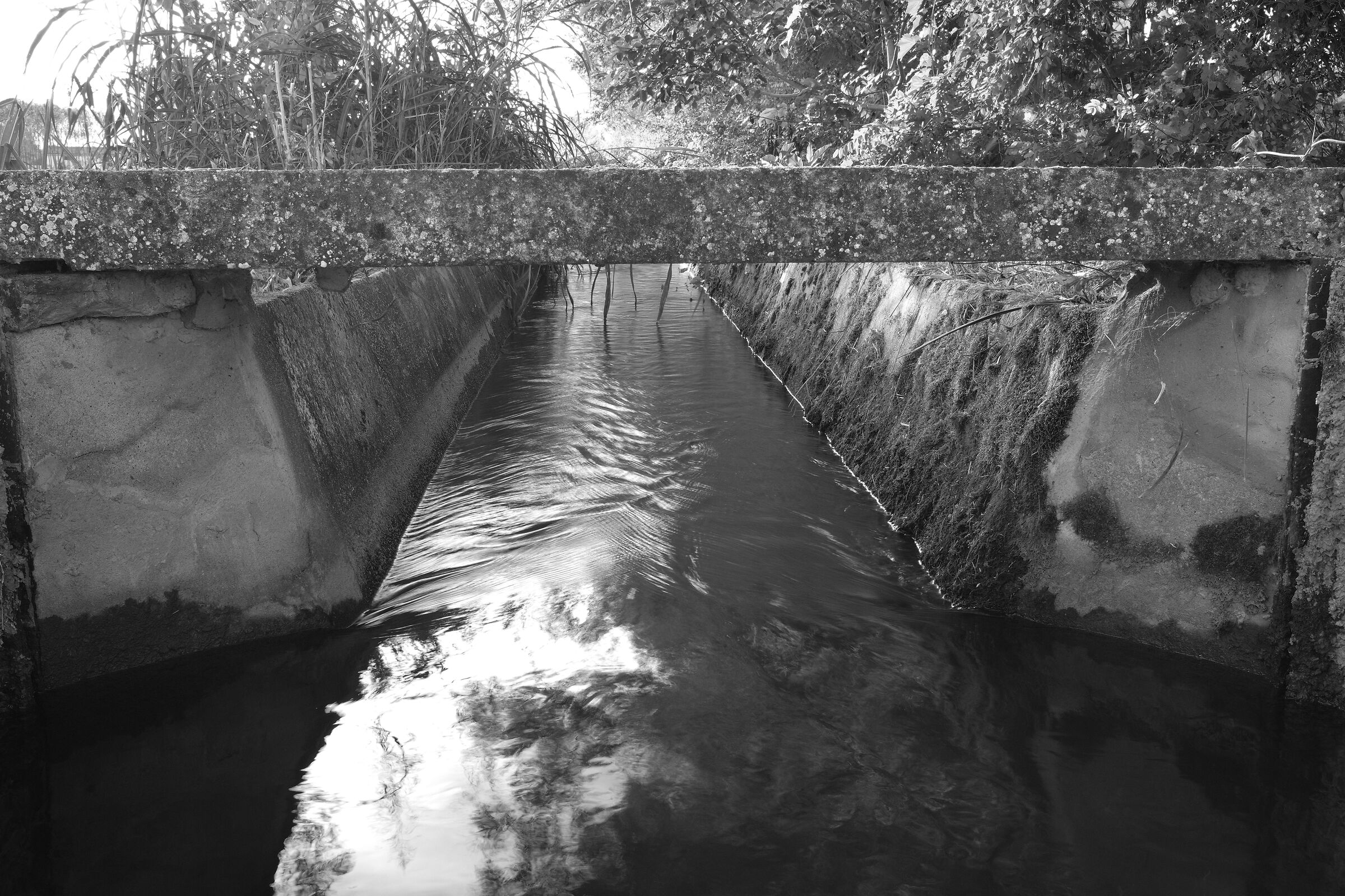 Canale di irrigazione 1