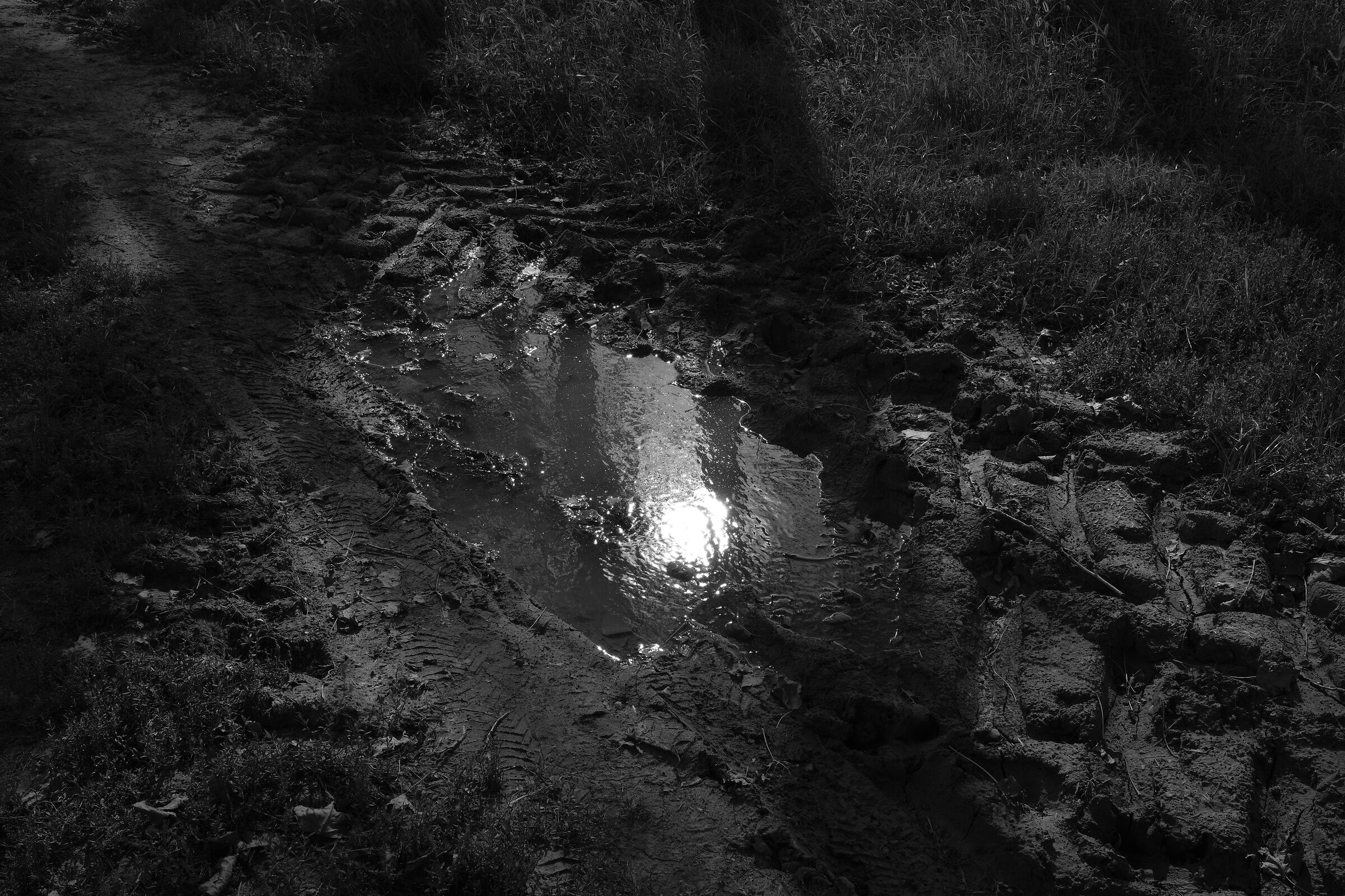 il trattore e un pezzo di cielo