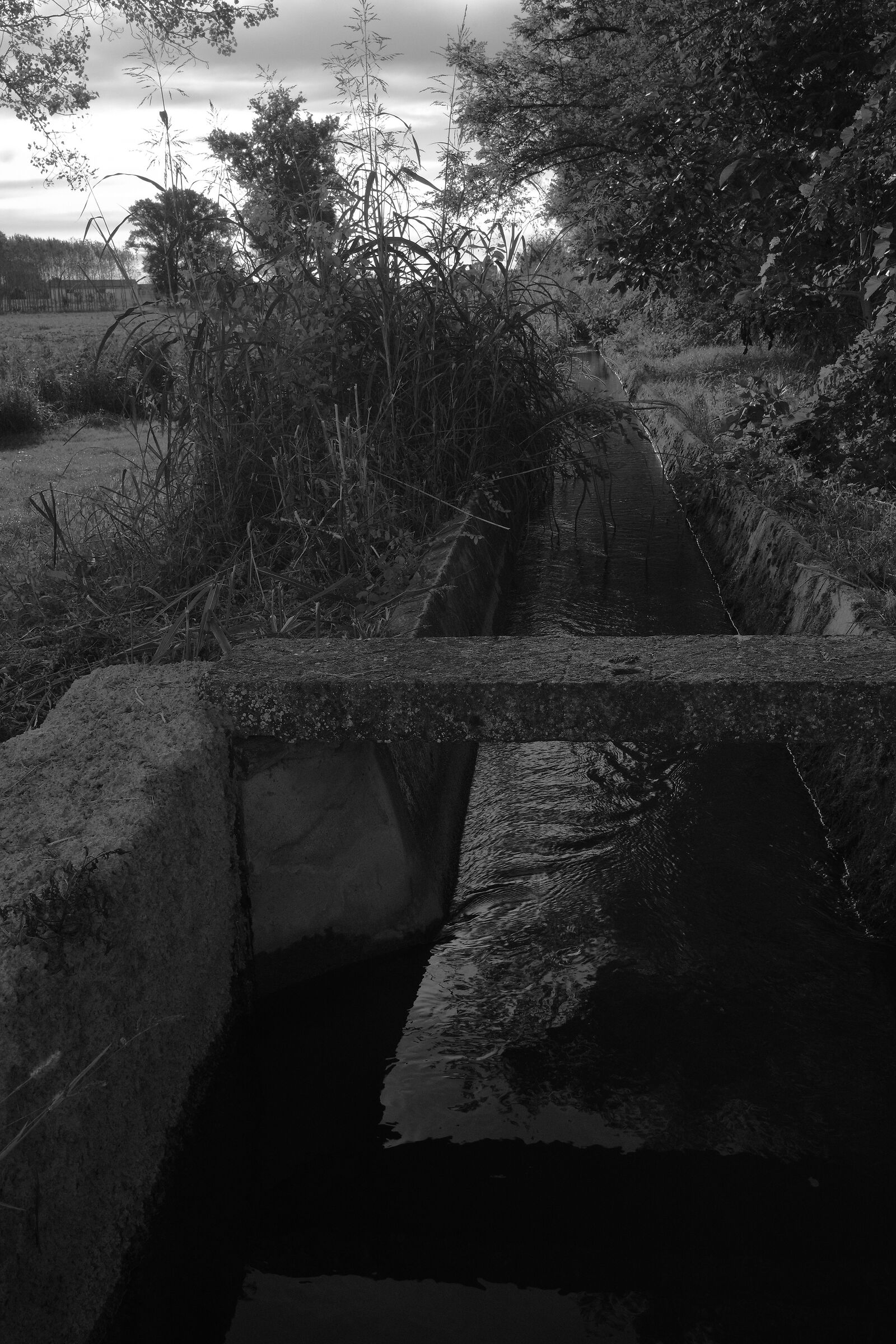 Canale di irrigazione 11