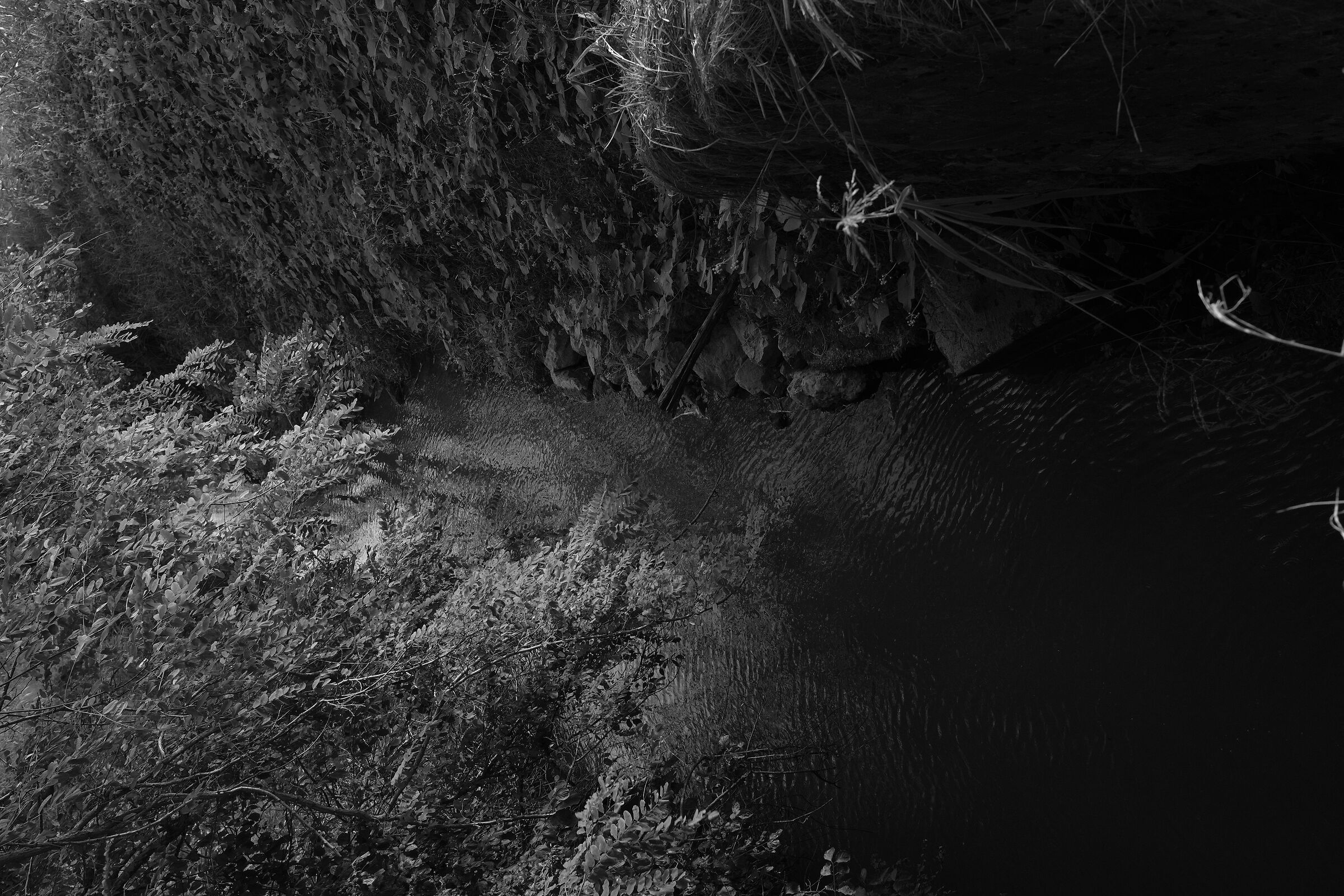 Canale di irrigazione 12