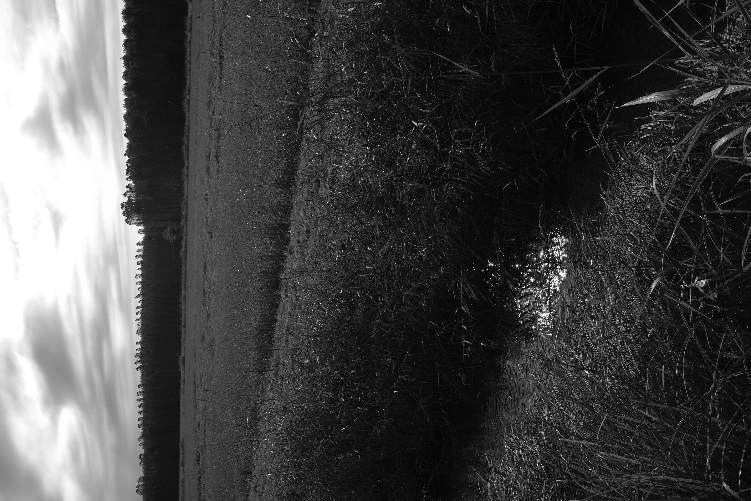 Canale di irrigazione 13