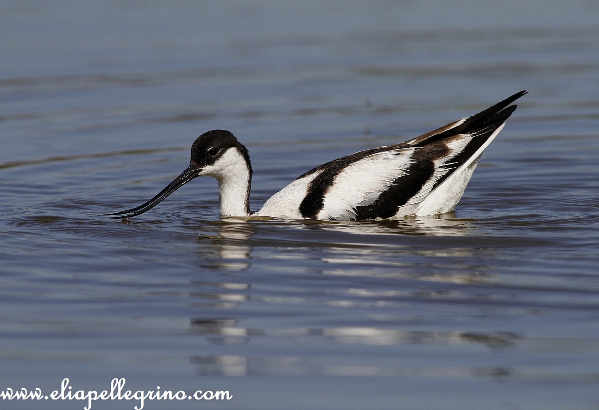 bagnetto rinfrescante