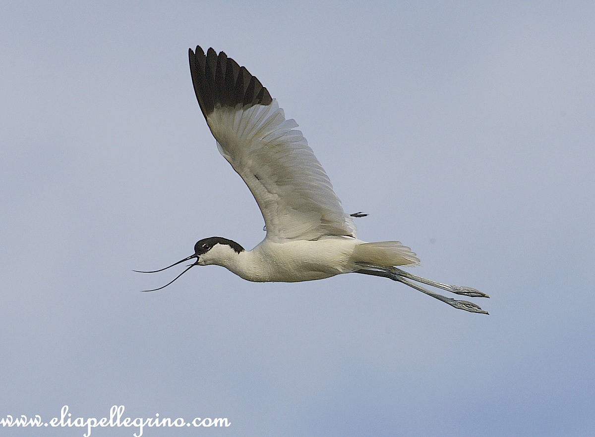 a volo in un attacco