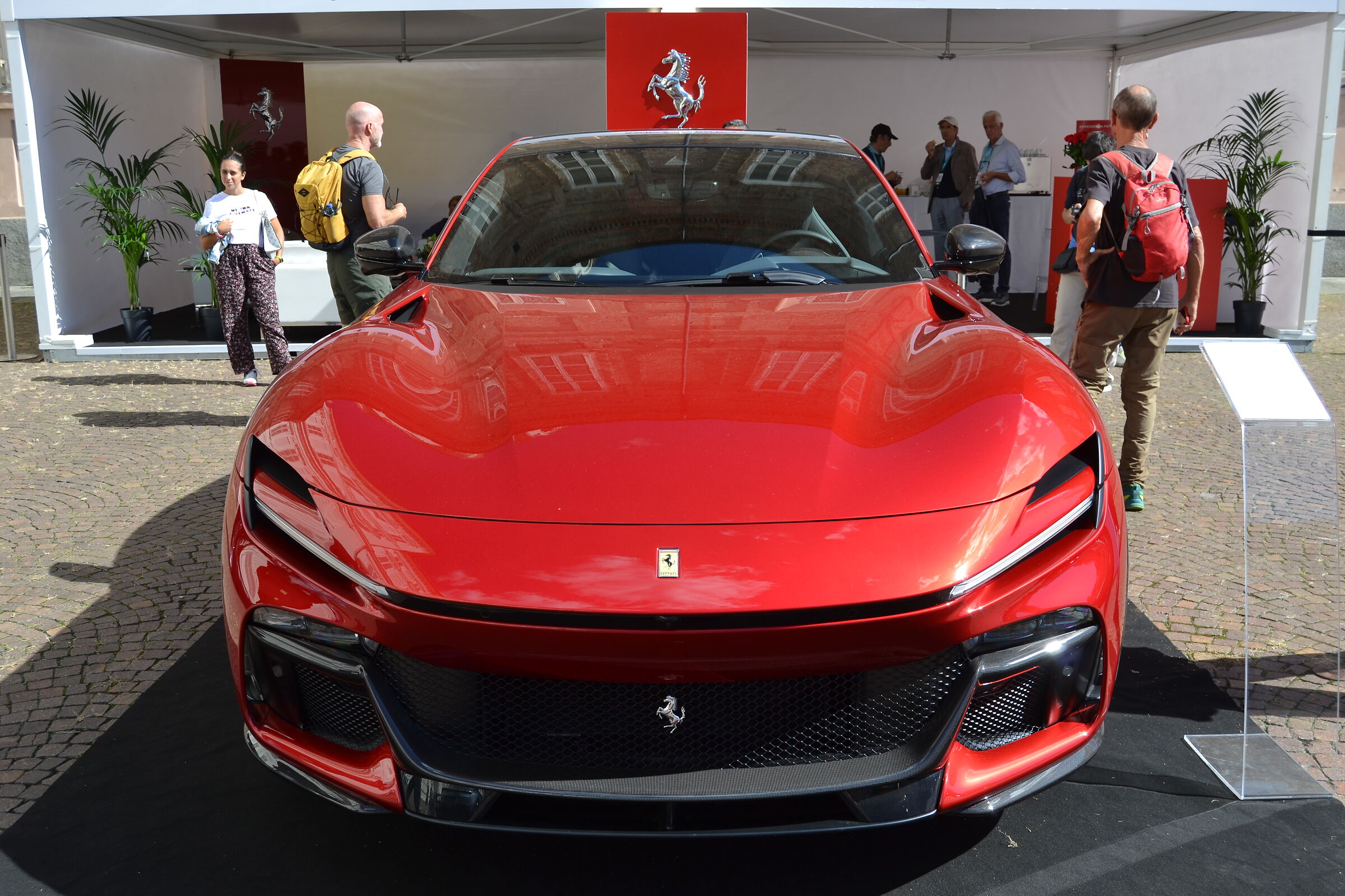 FERRARI PUROSANGUE