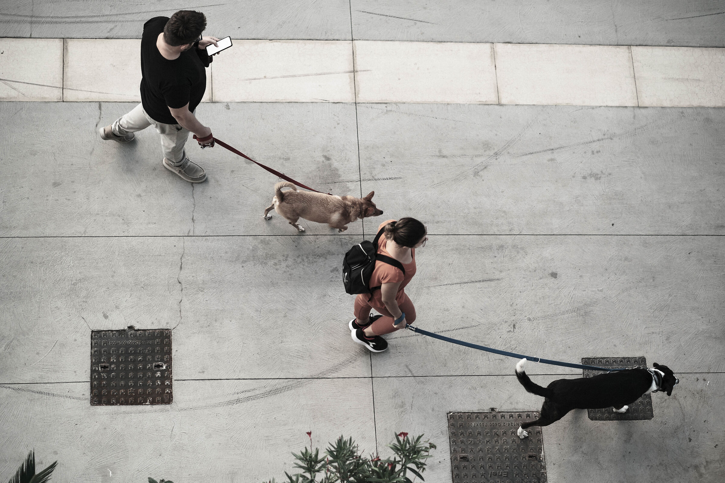 leash in hand
