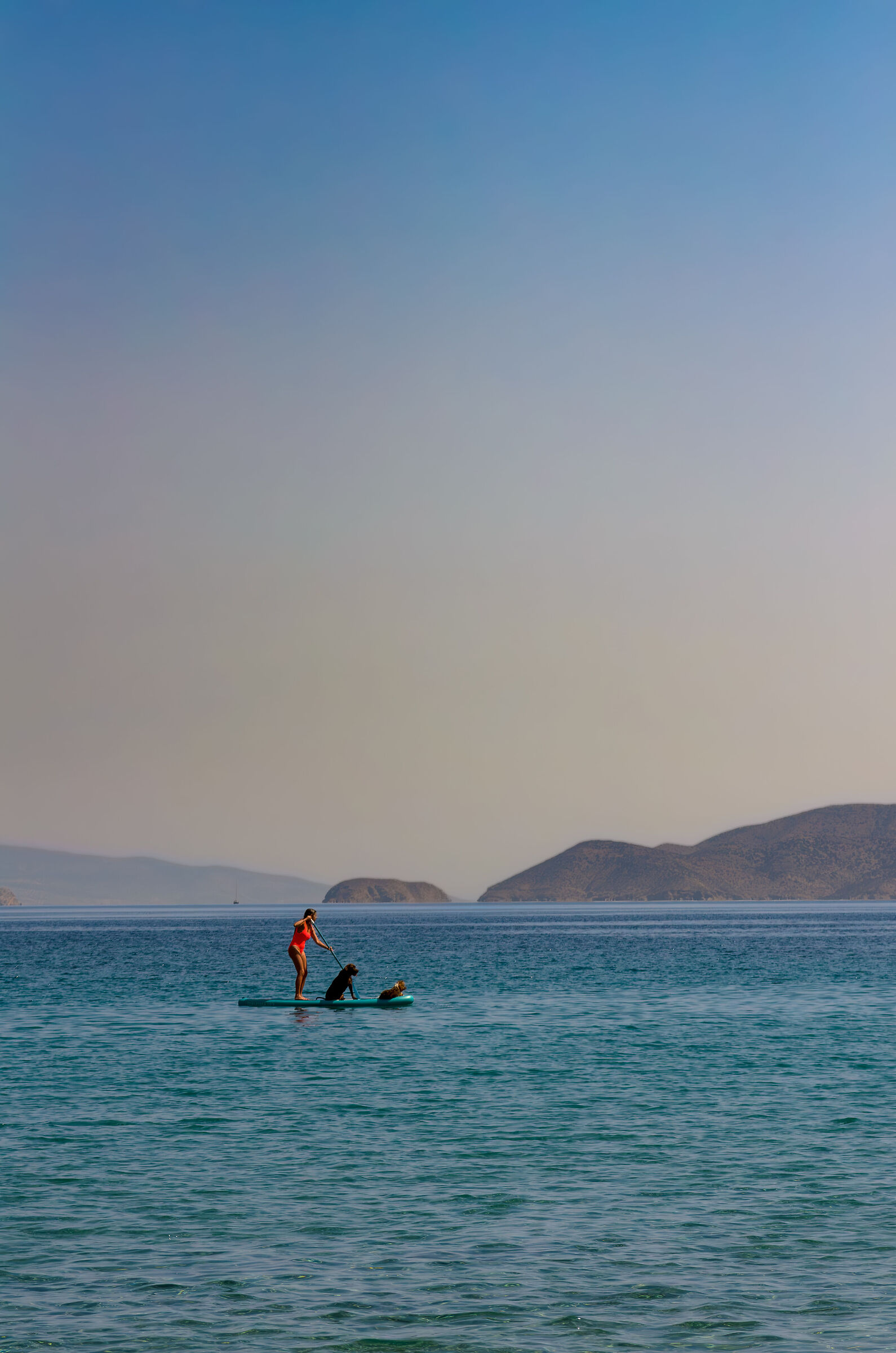 Girl with dogs in Ios