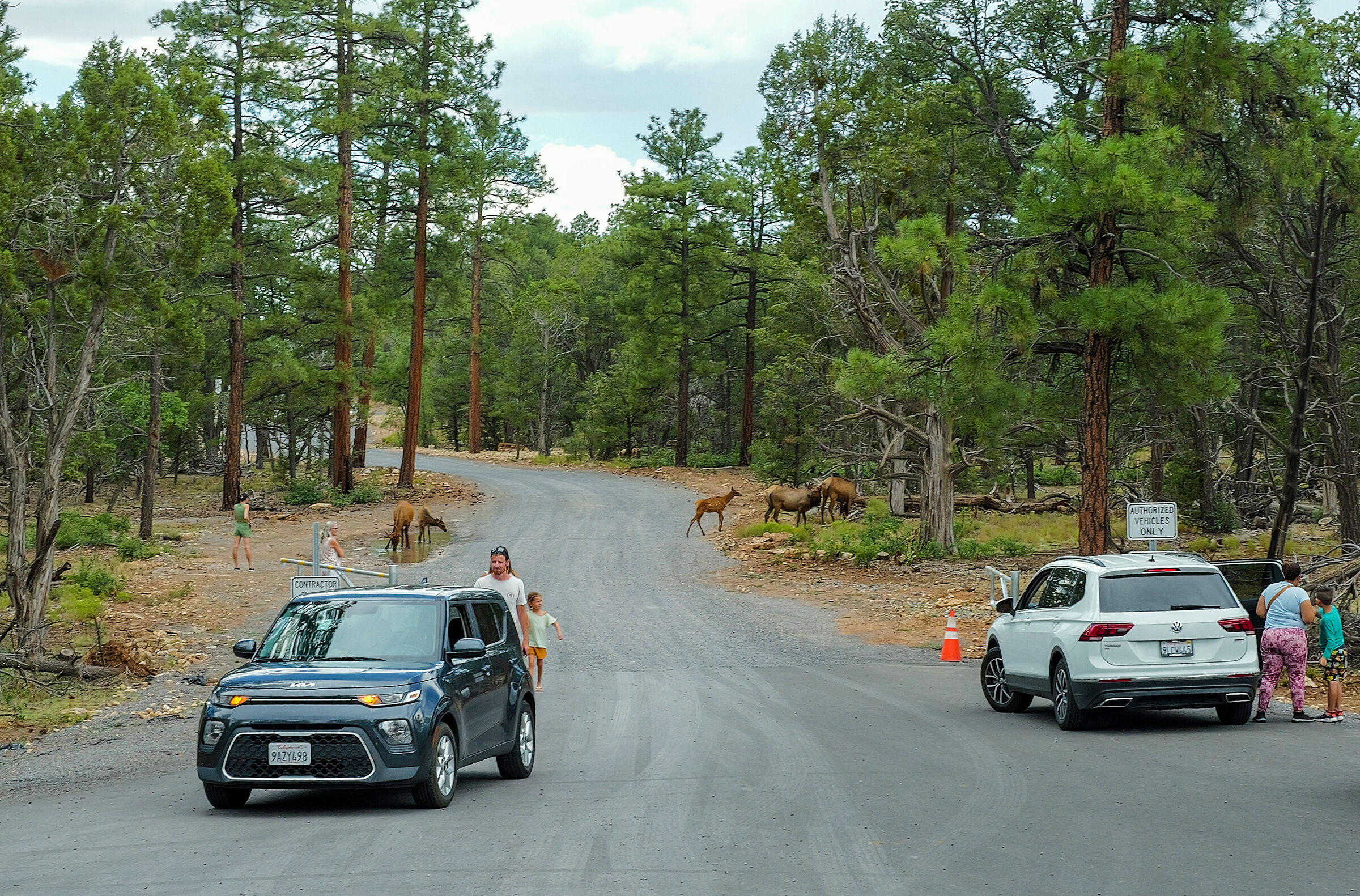 Grand Canyon National Park