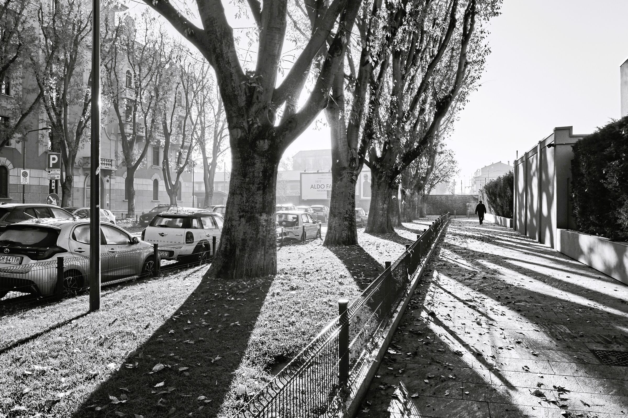 Via Bergognone