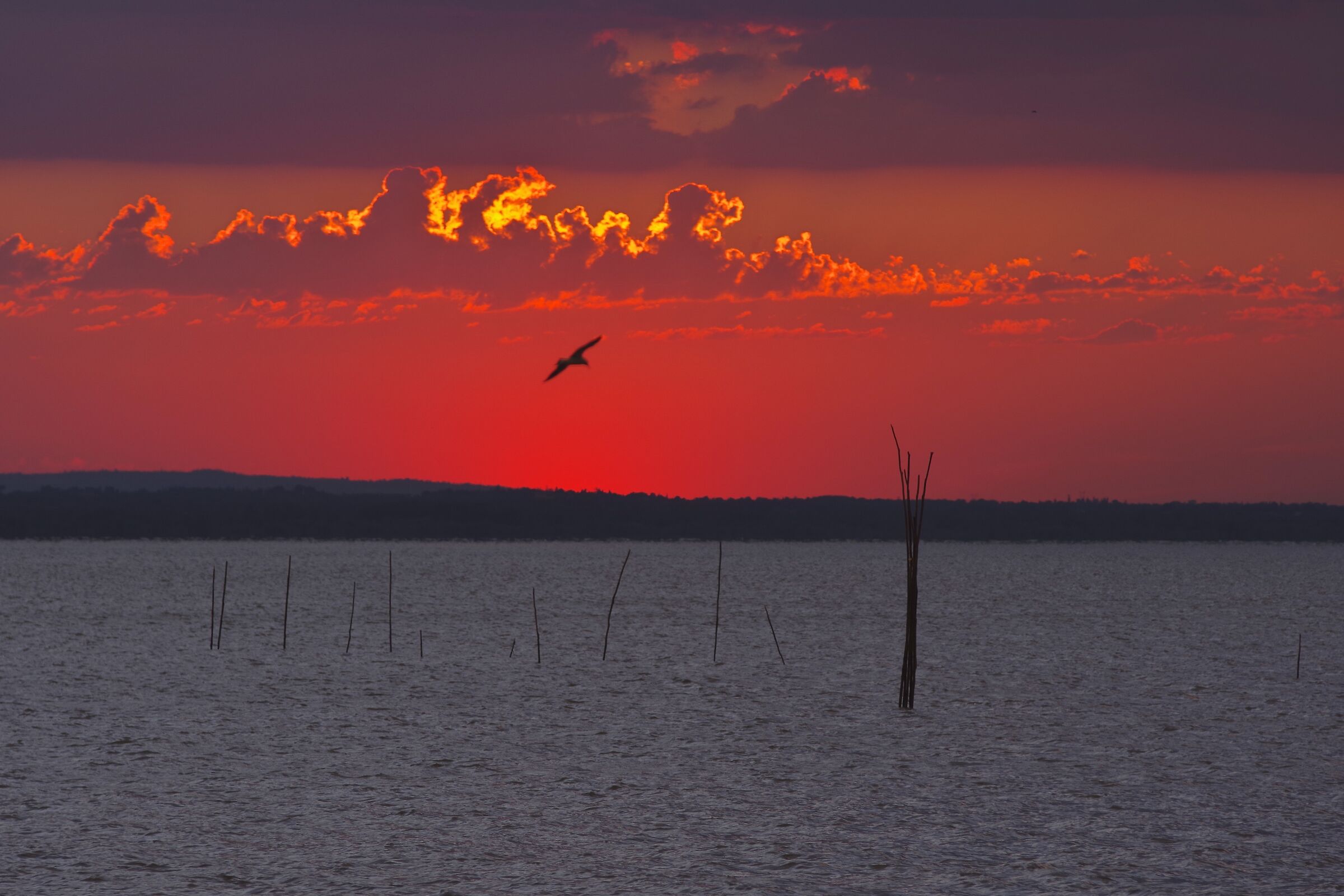 Sunset on Lake Trasimeno