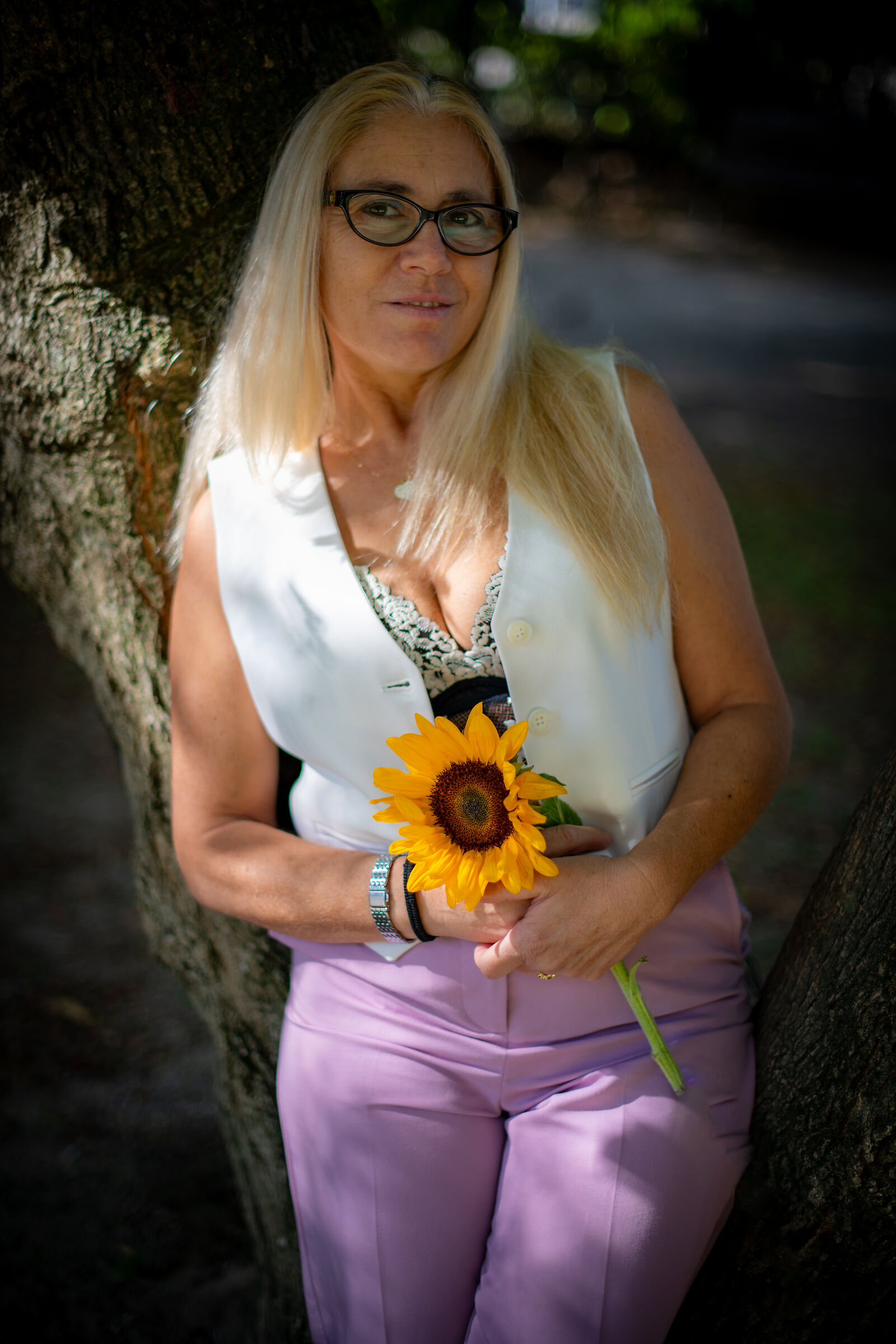 The sunflower