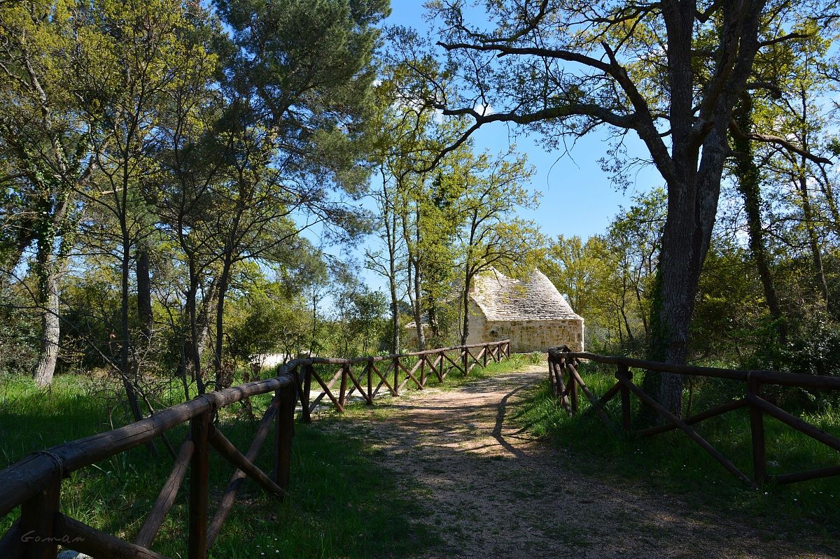 Bosco Selva - Alberobello