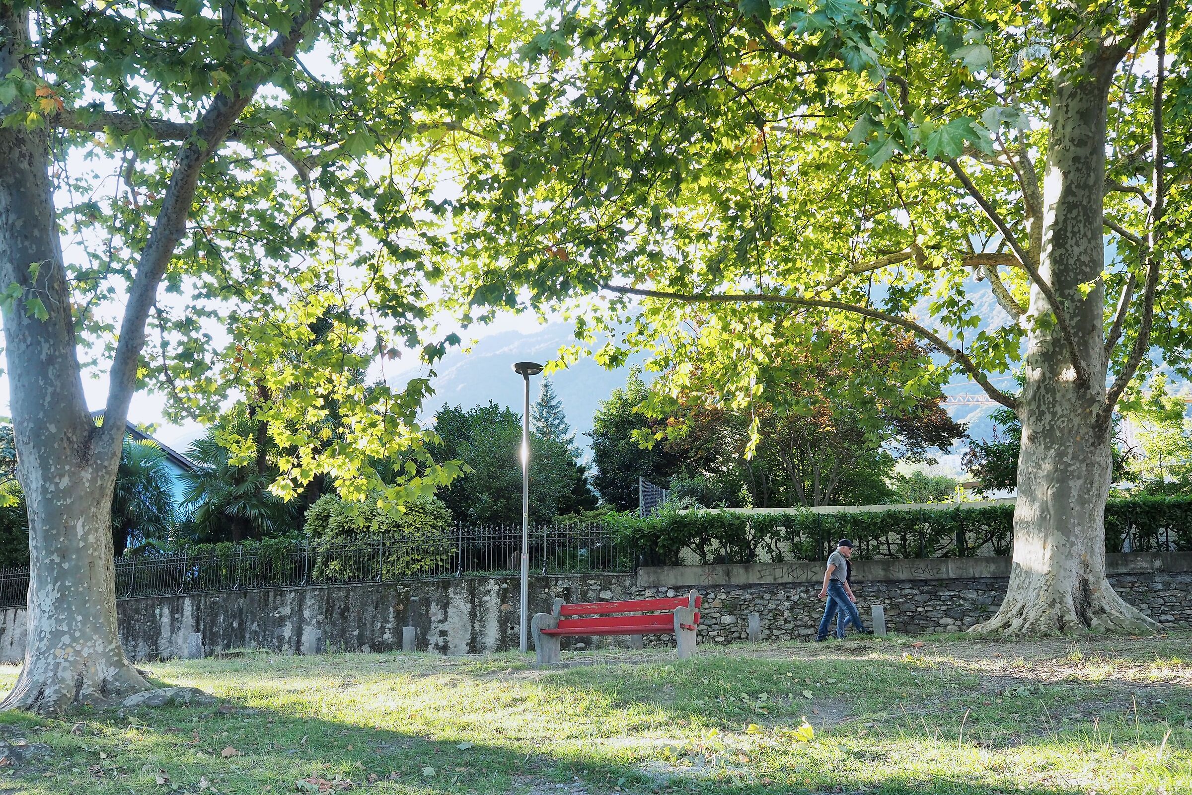 Late summer