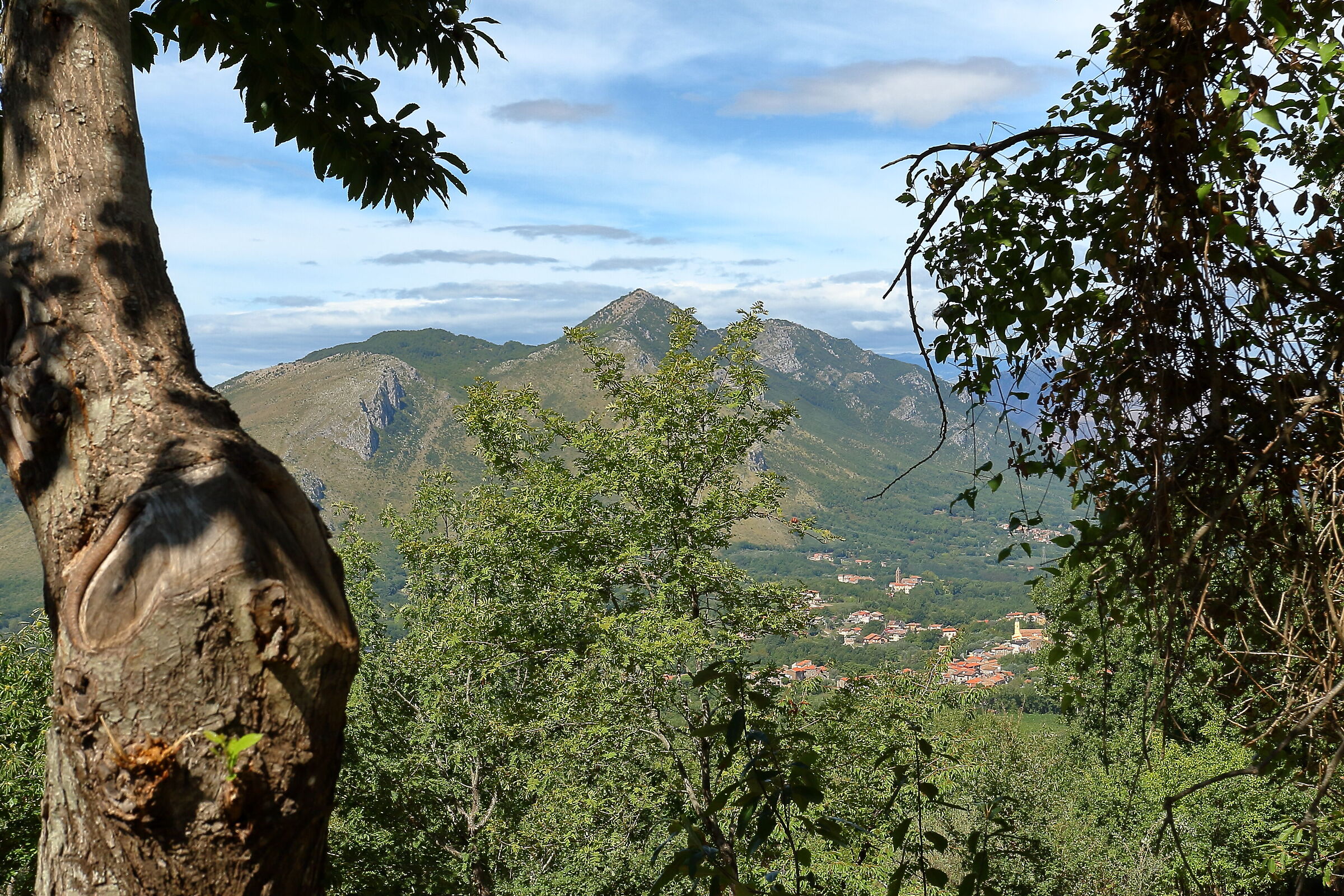 Mountain in the distance