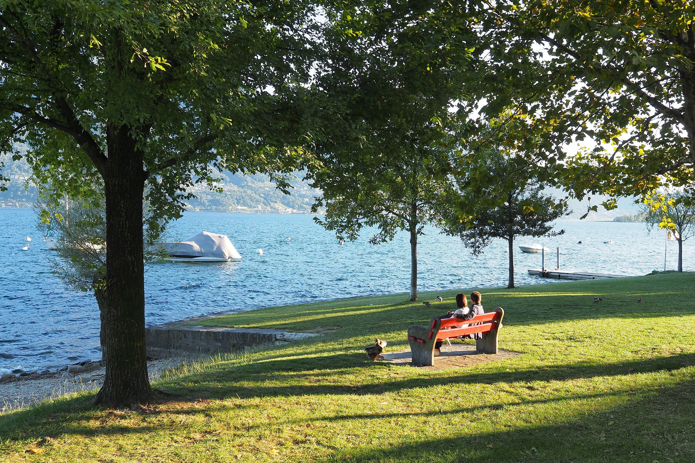 Dreaming of summer