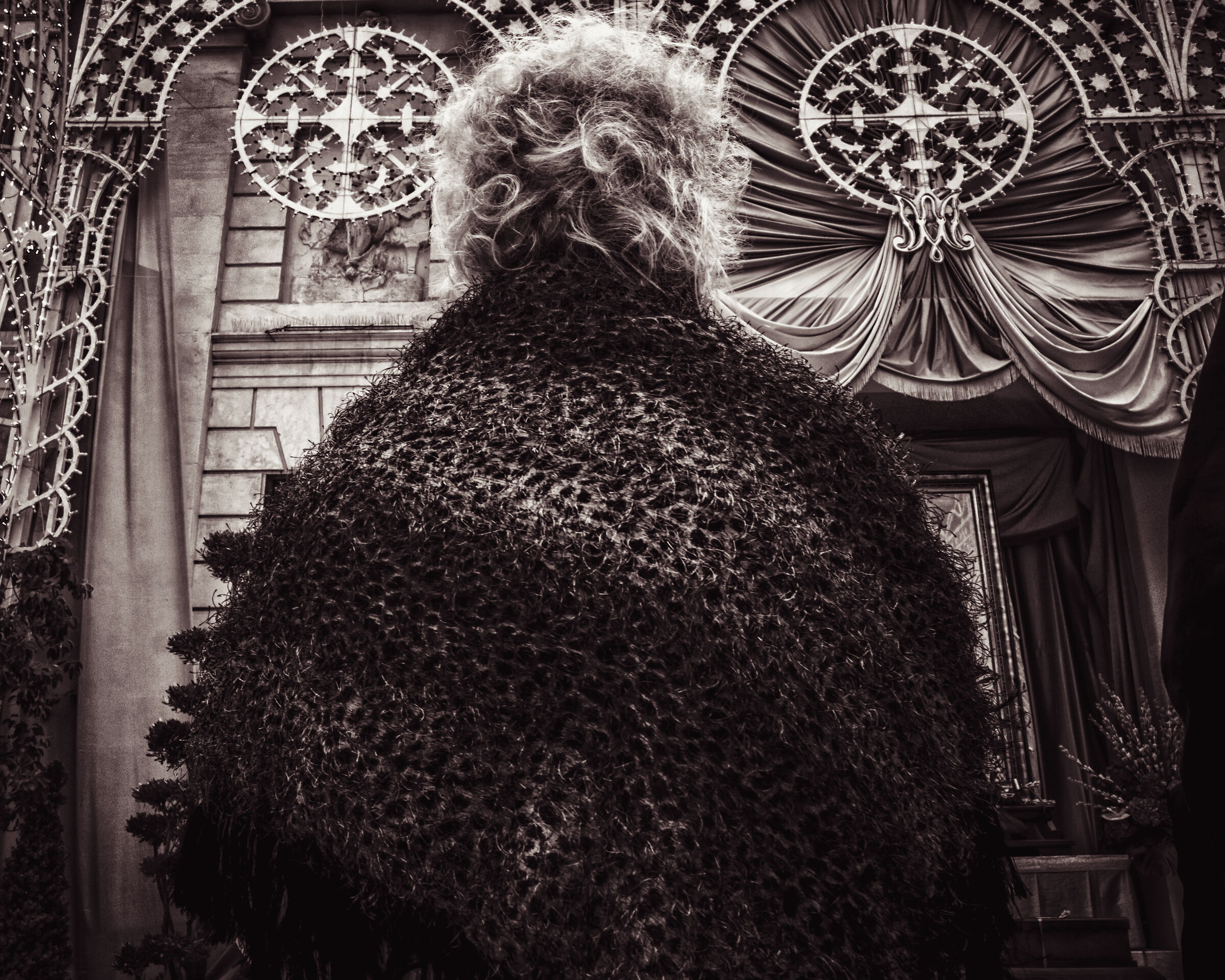 Untitled Photo