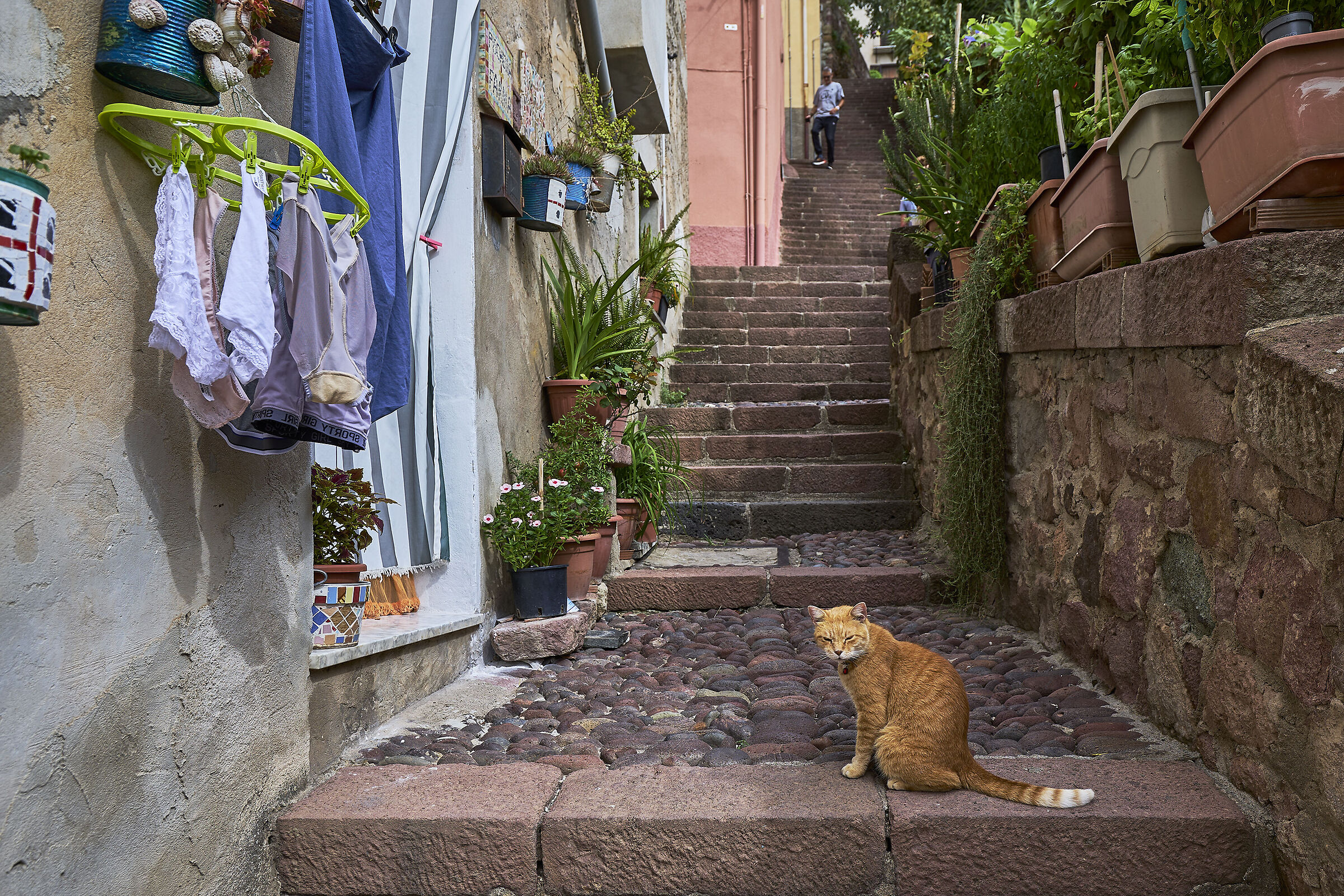 S'iscala 'e sa rosa - Bosa