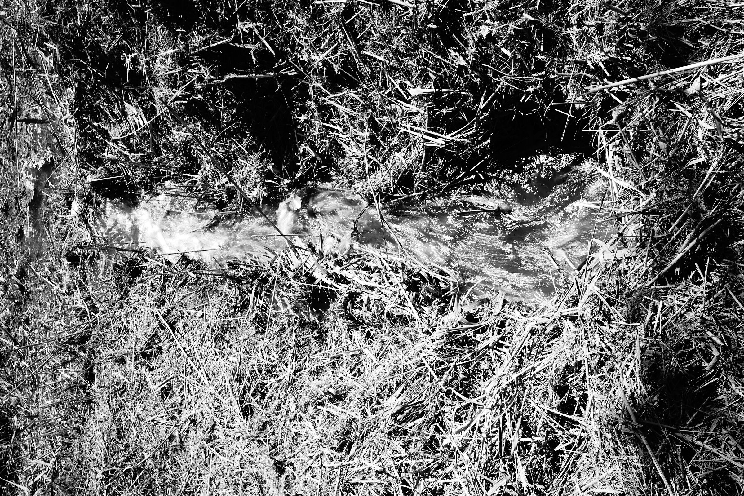 scolo di acque irrigue