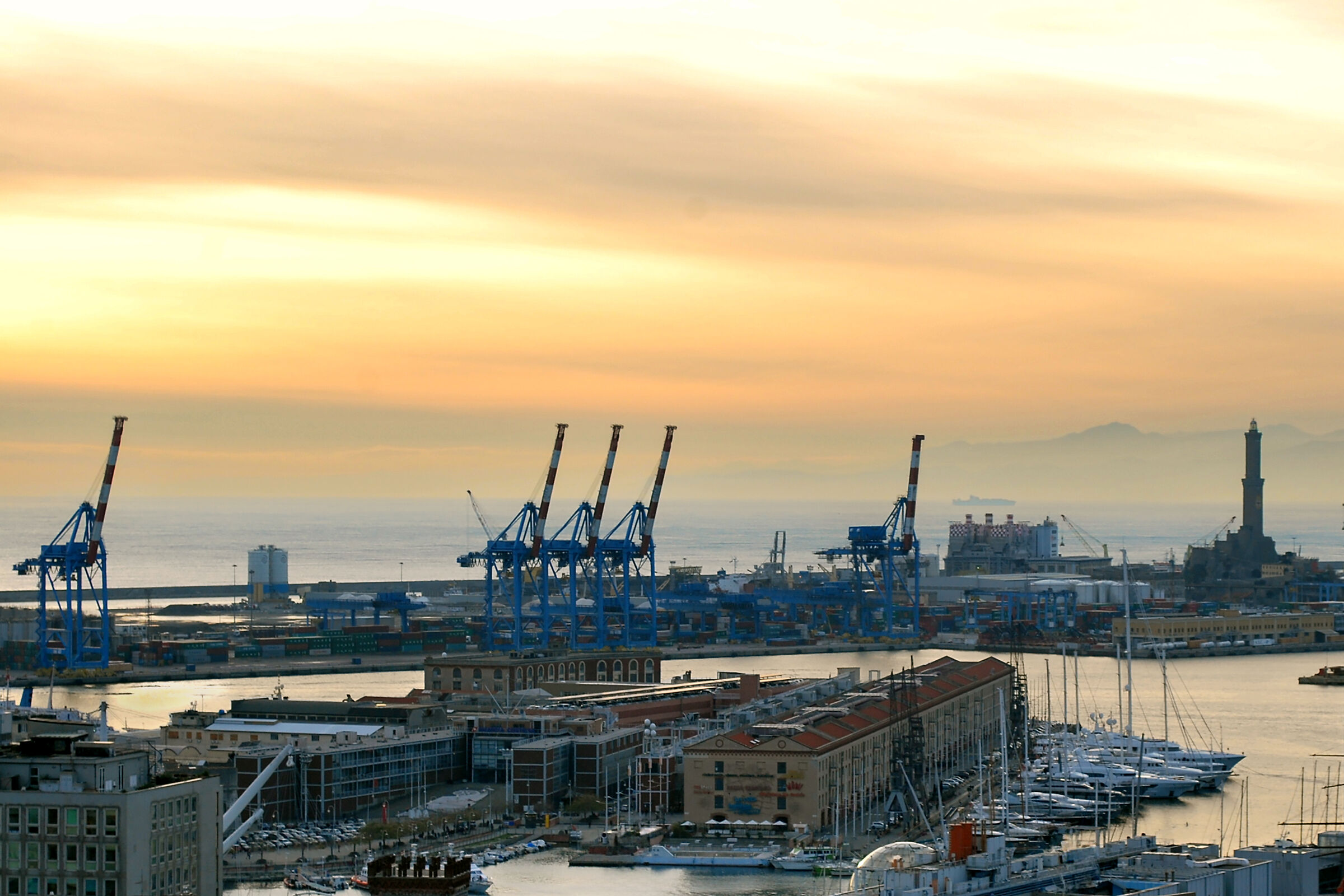 Genova