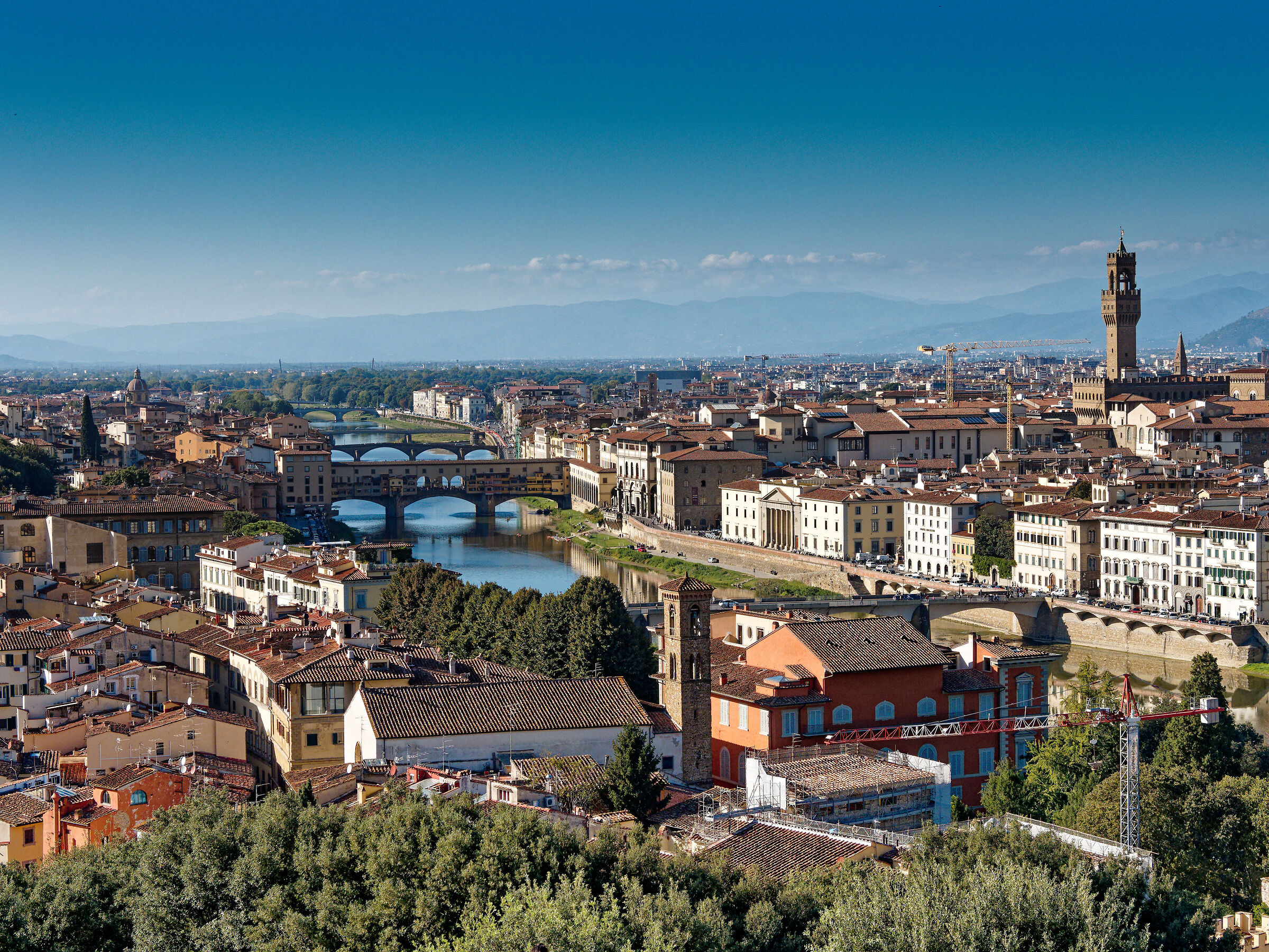 A Florentine classic