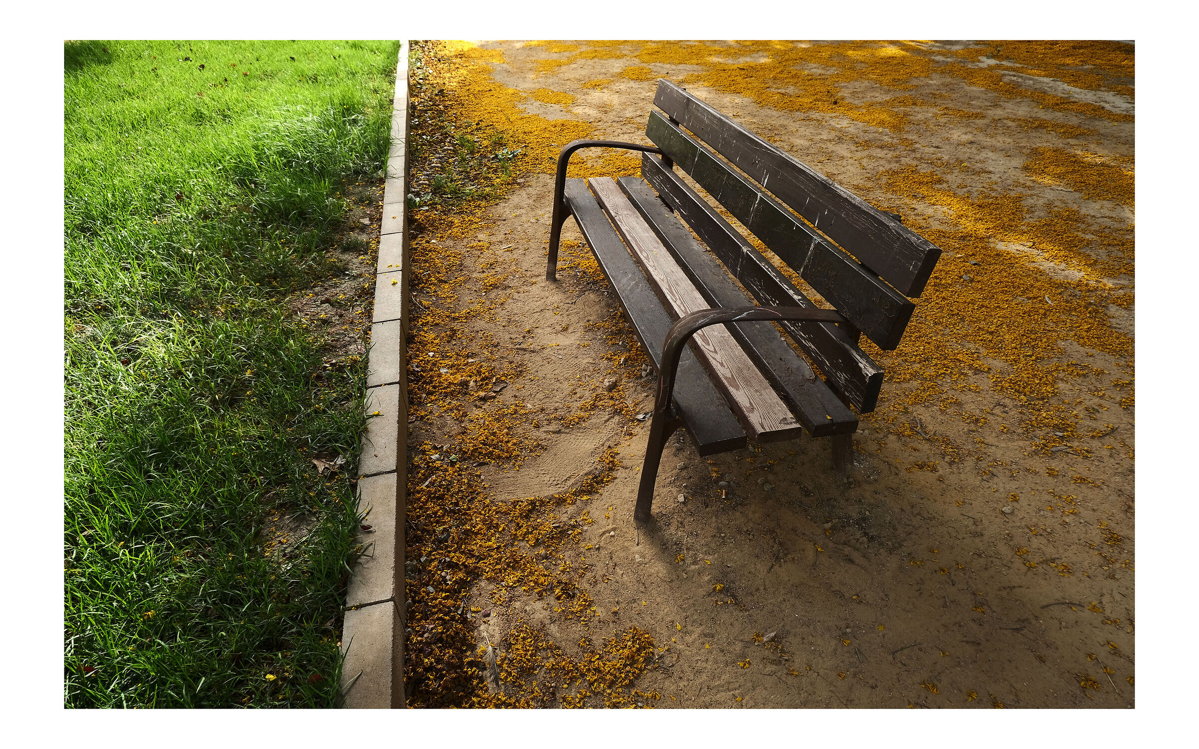 lonely bench