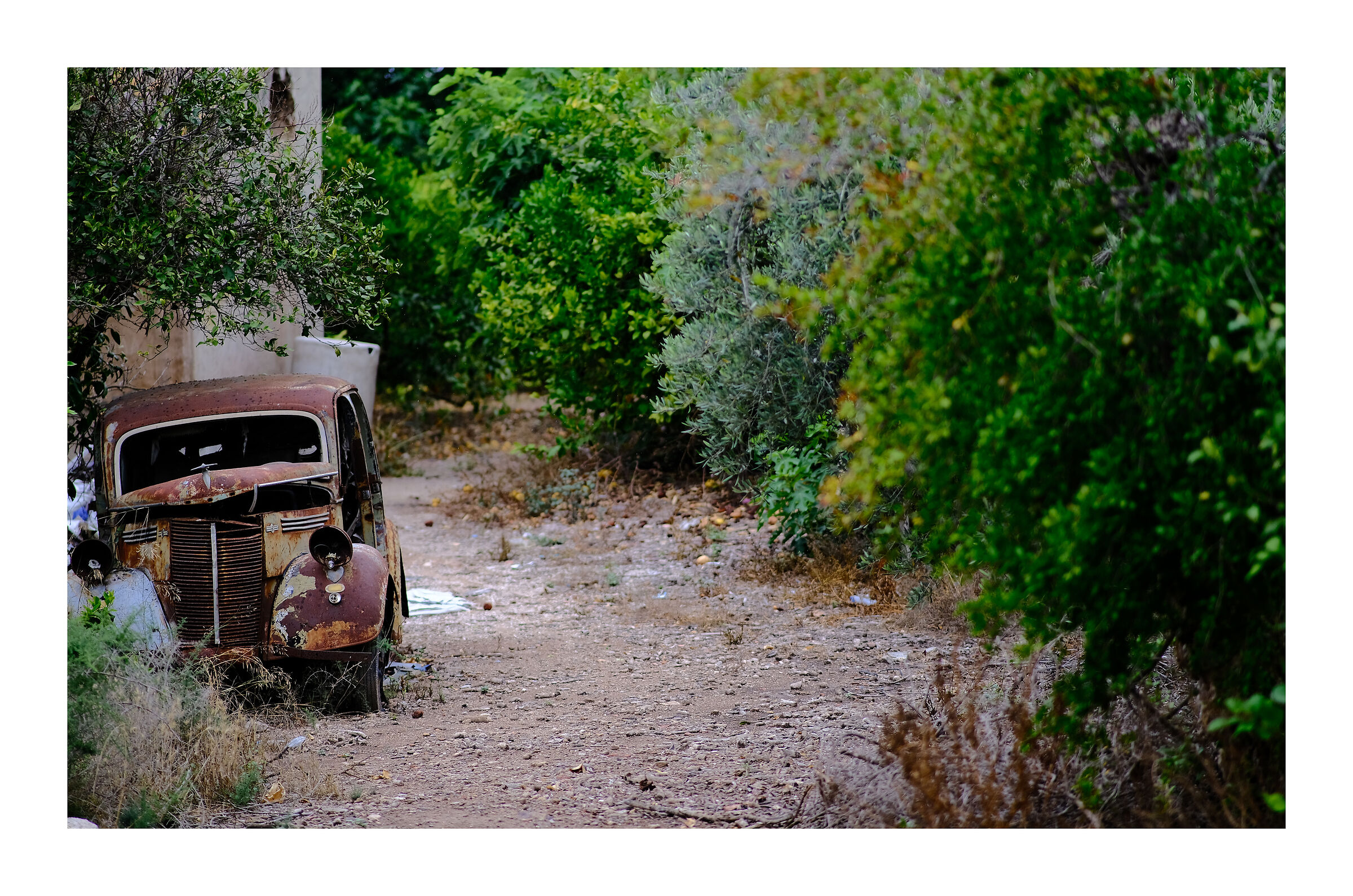 1936 Ford