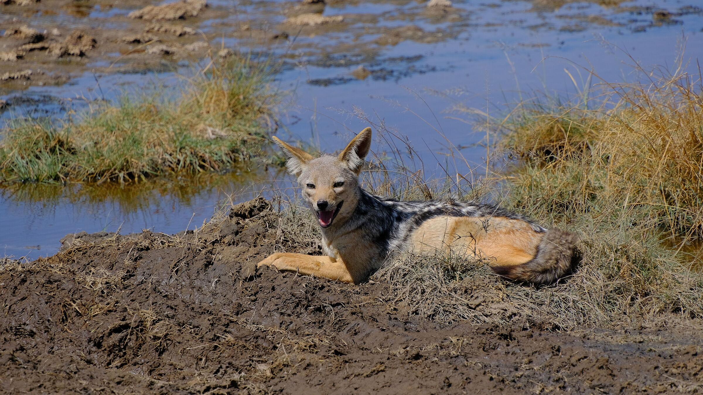 Ngorongoro Crater Tanzania