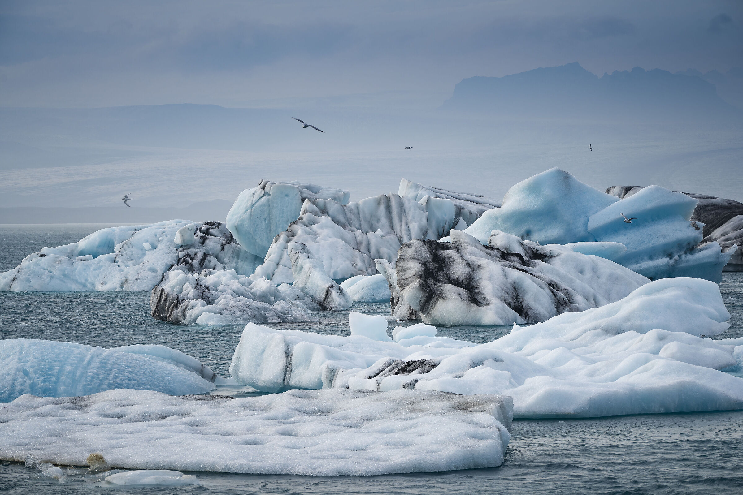 Jökulsárlón (Laguna glaciale Islanda)