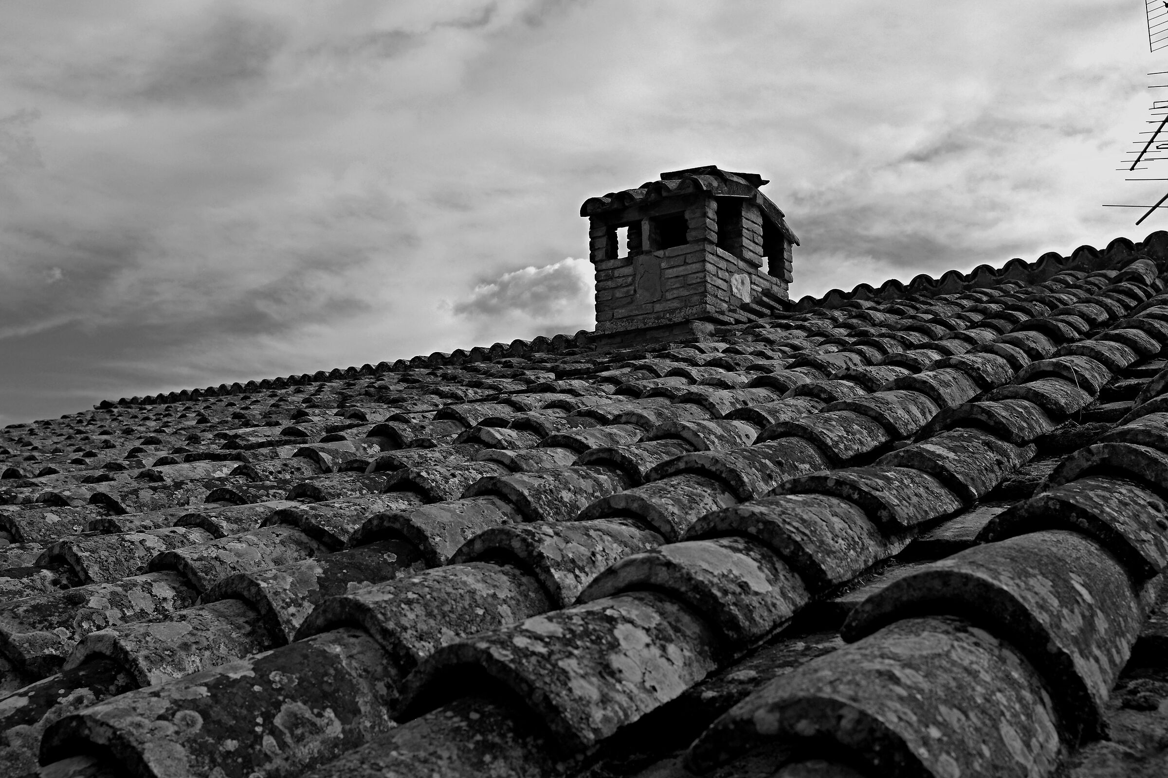 Il tetto verso il cielo