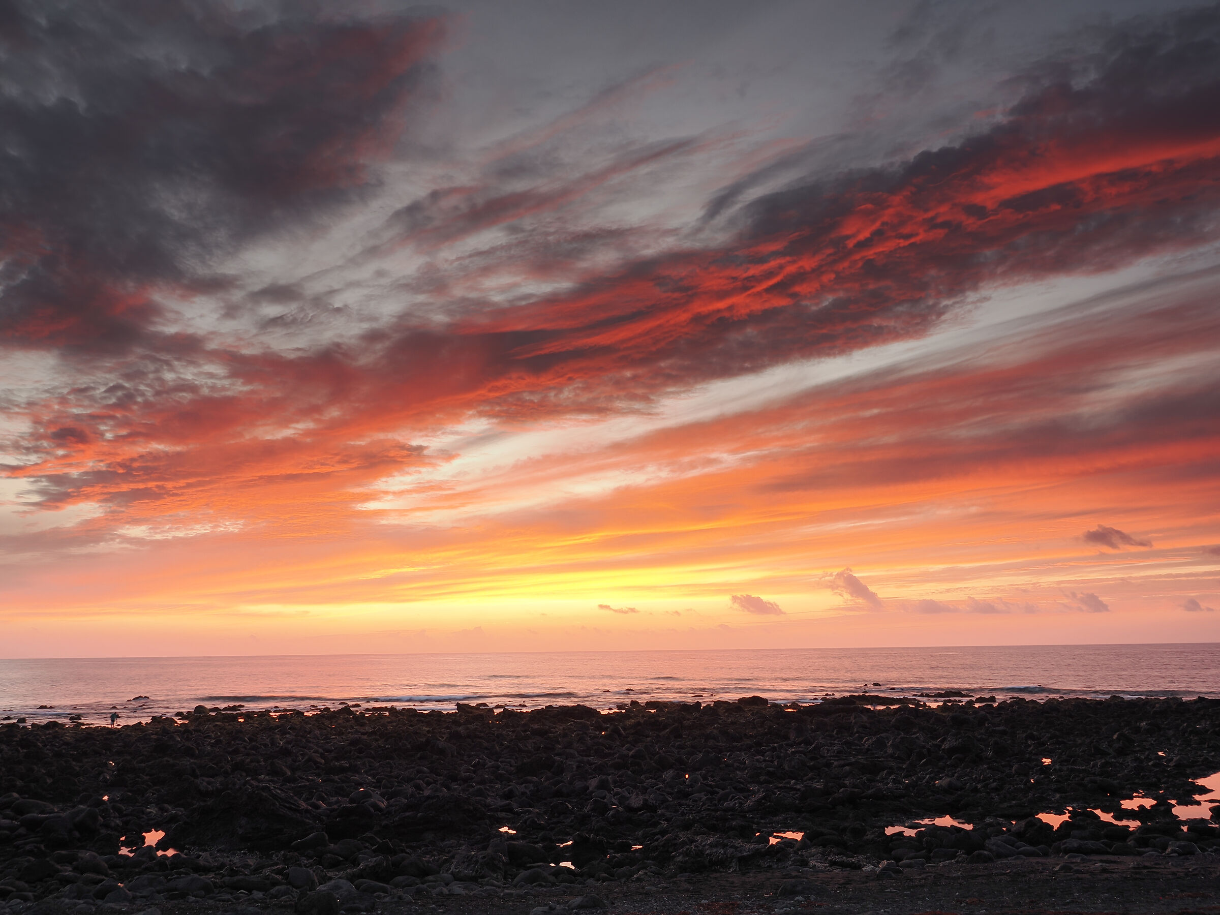 Canarie