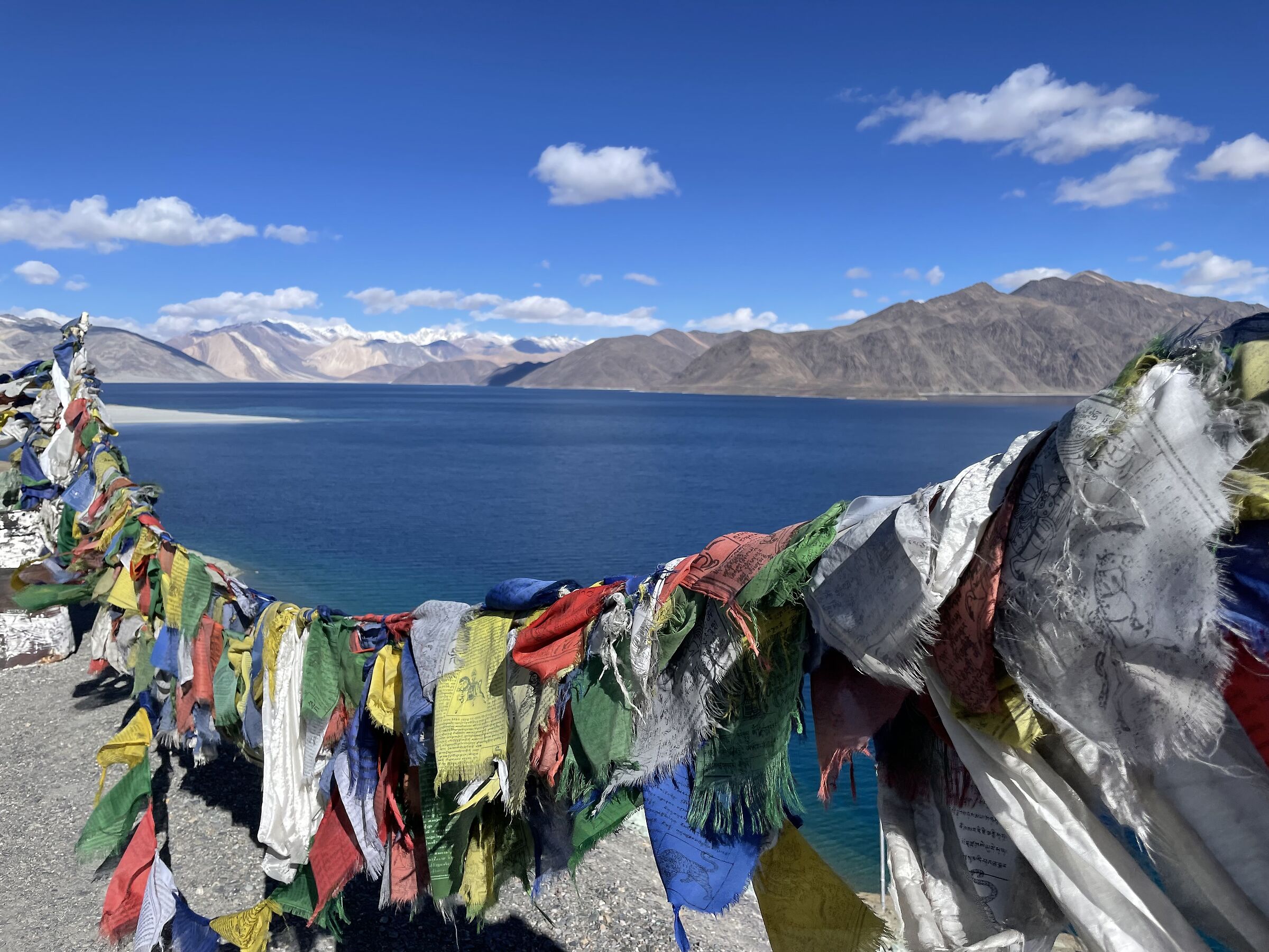 Pangong Tso, Ladakh