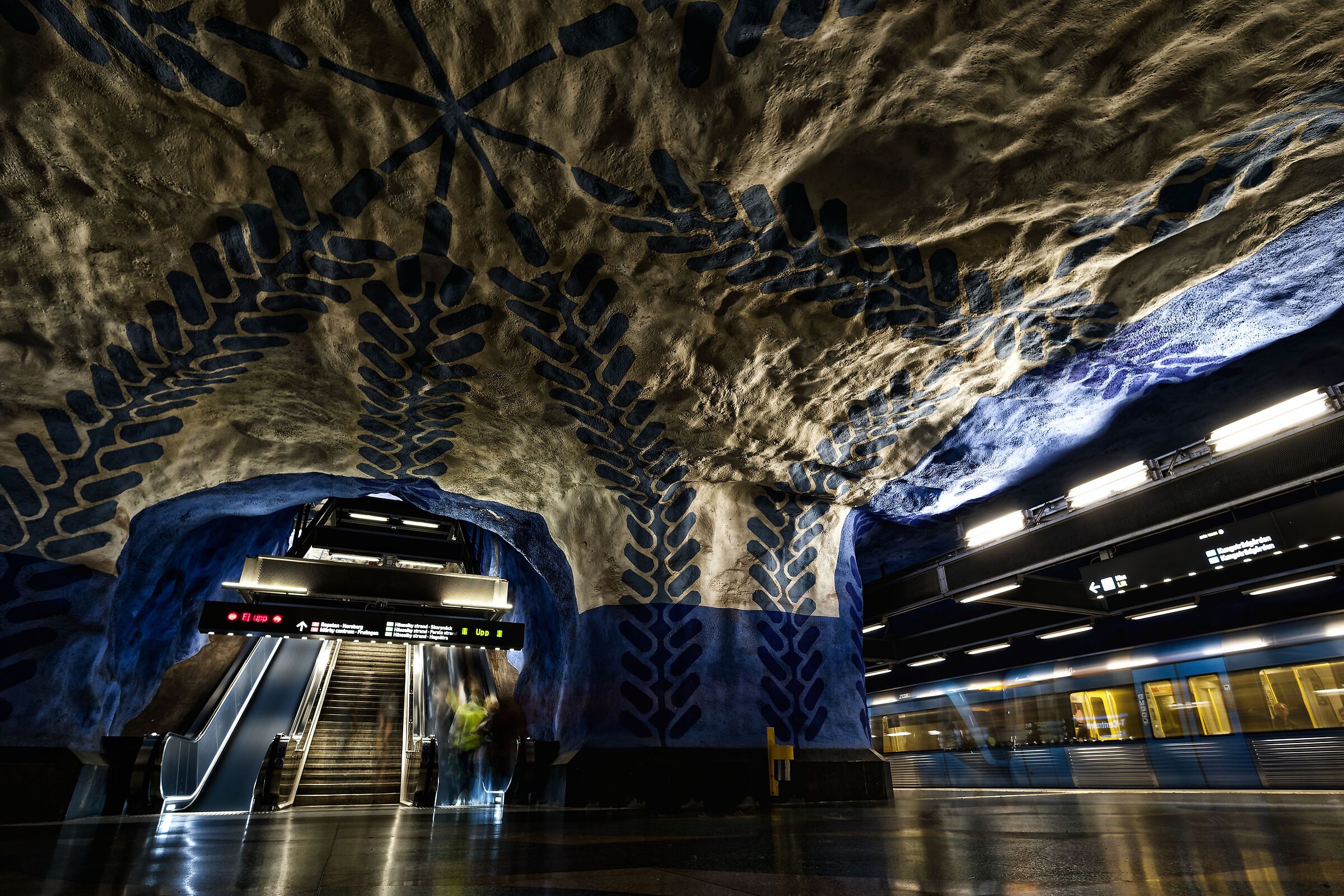 Who comes and who goes