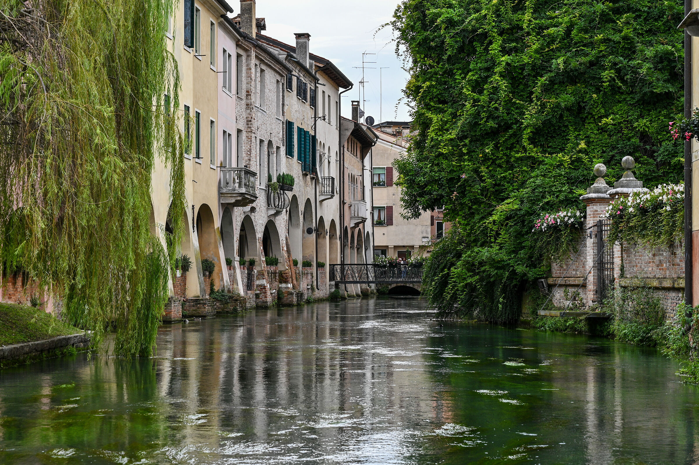 Treviso city of water