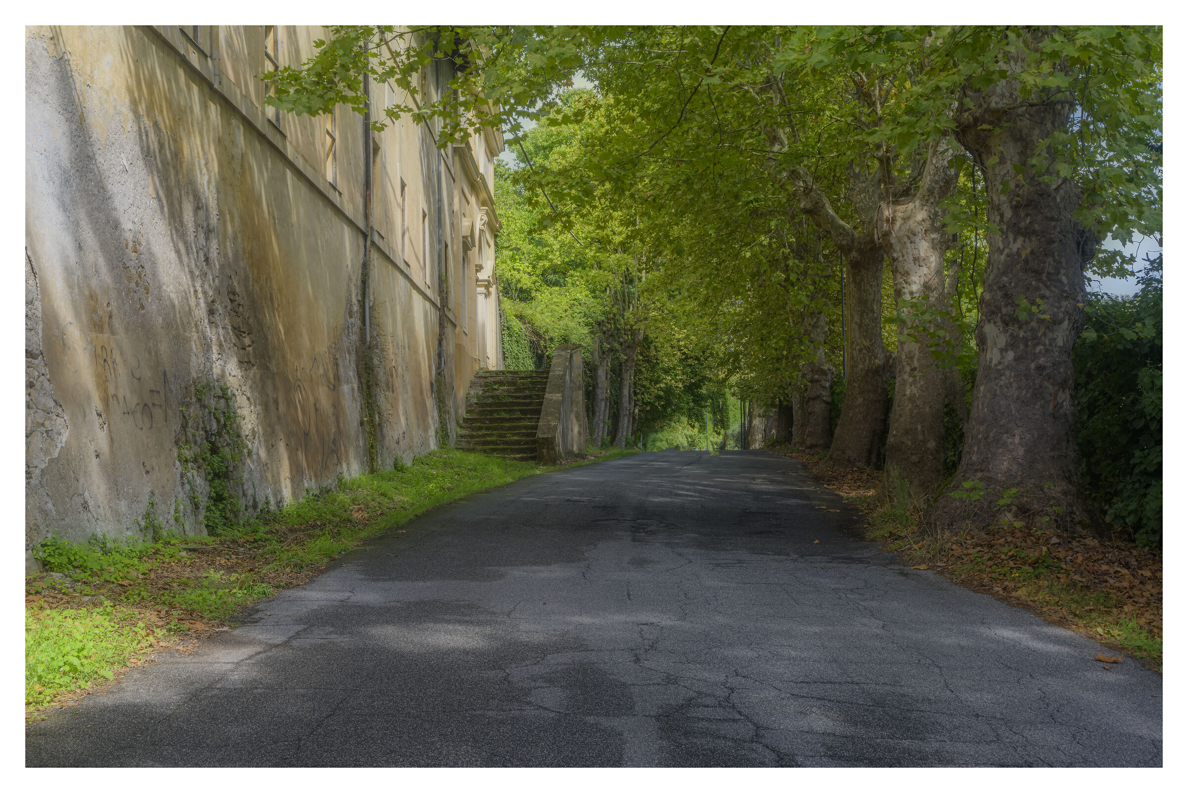 Street of the abandoned monastery