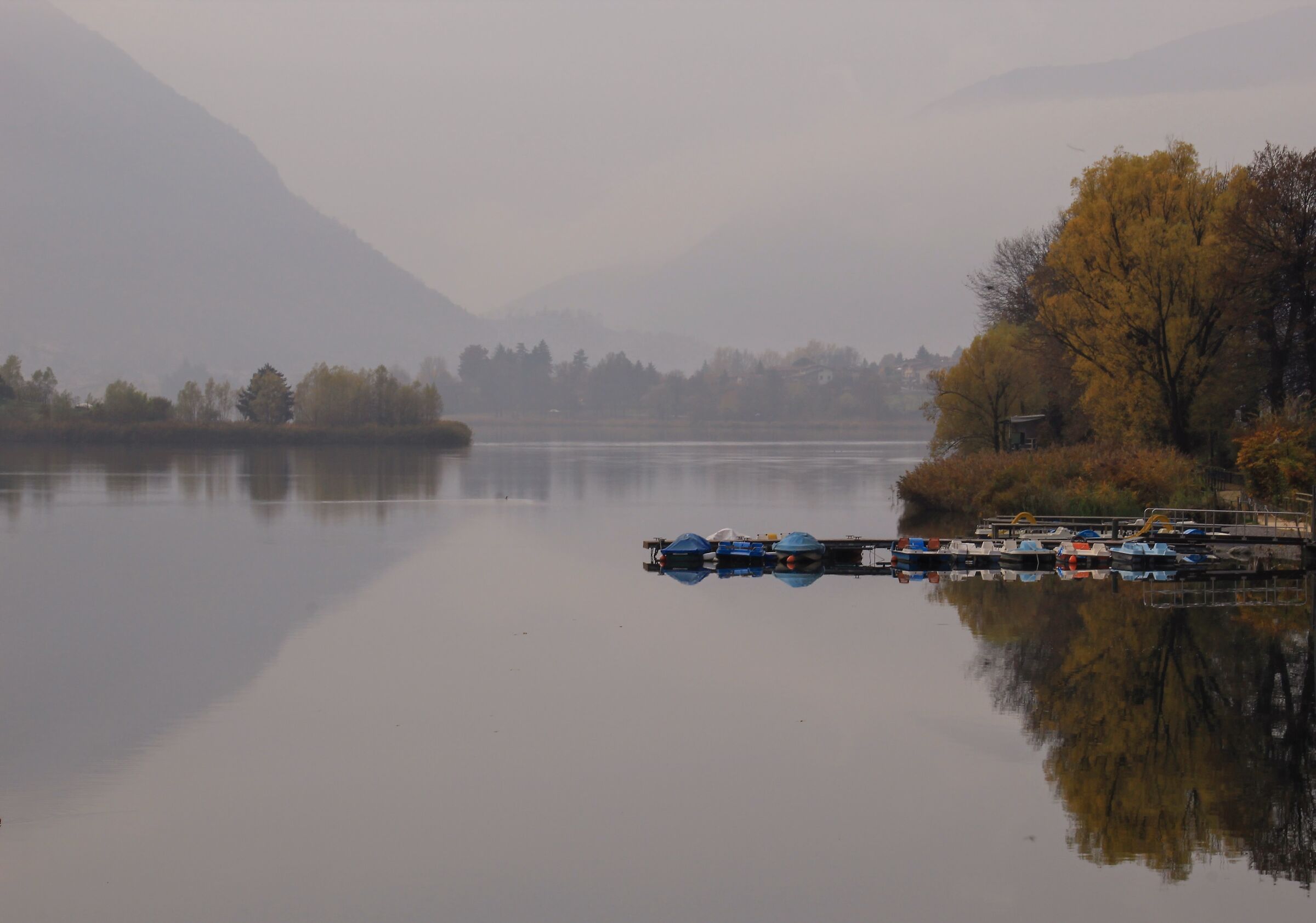 But what does a gloomy day taste like?