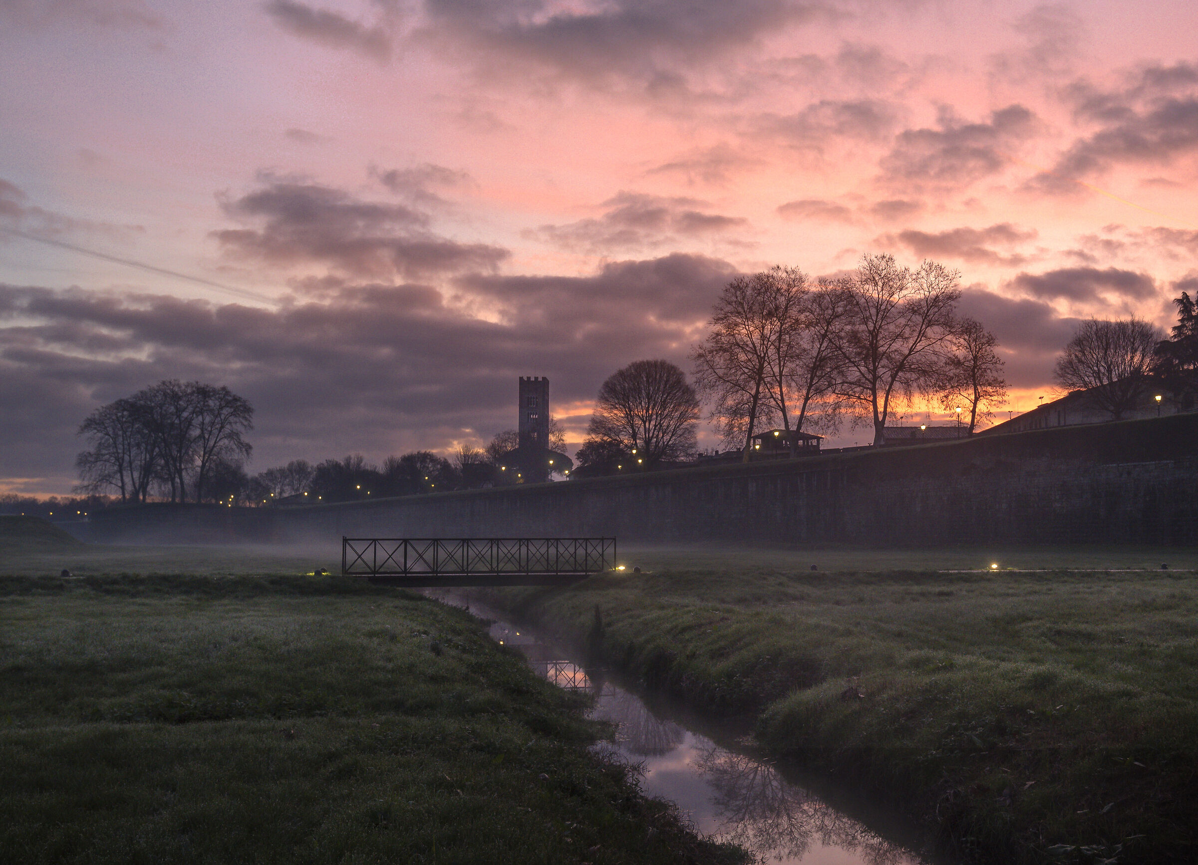 Lucca wakes up...