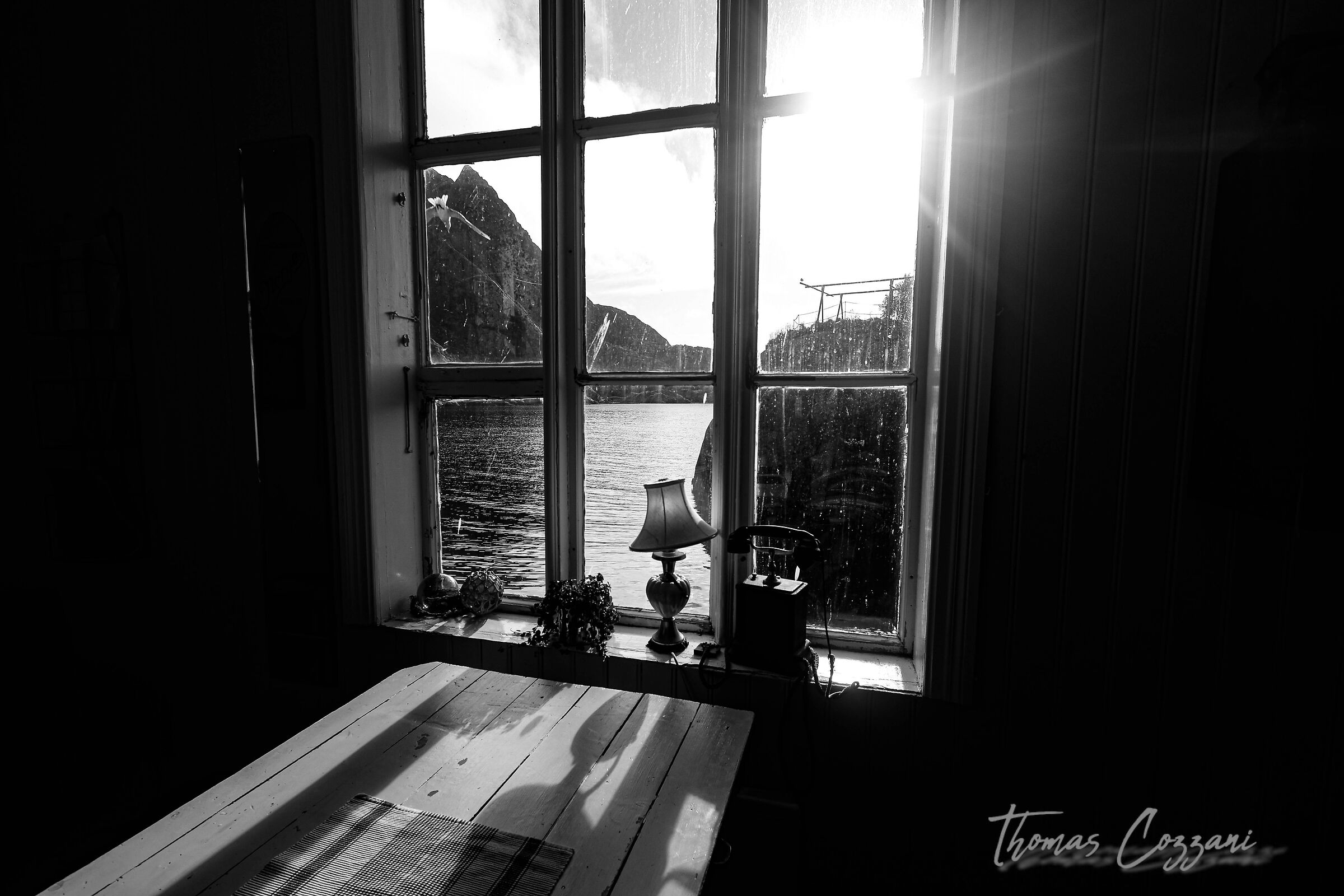 Untitled Photo